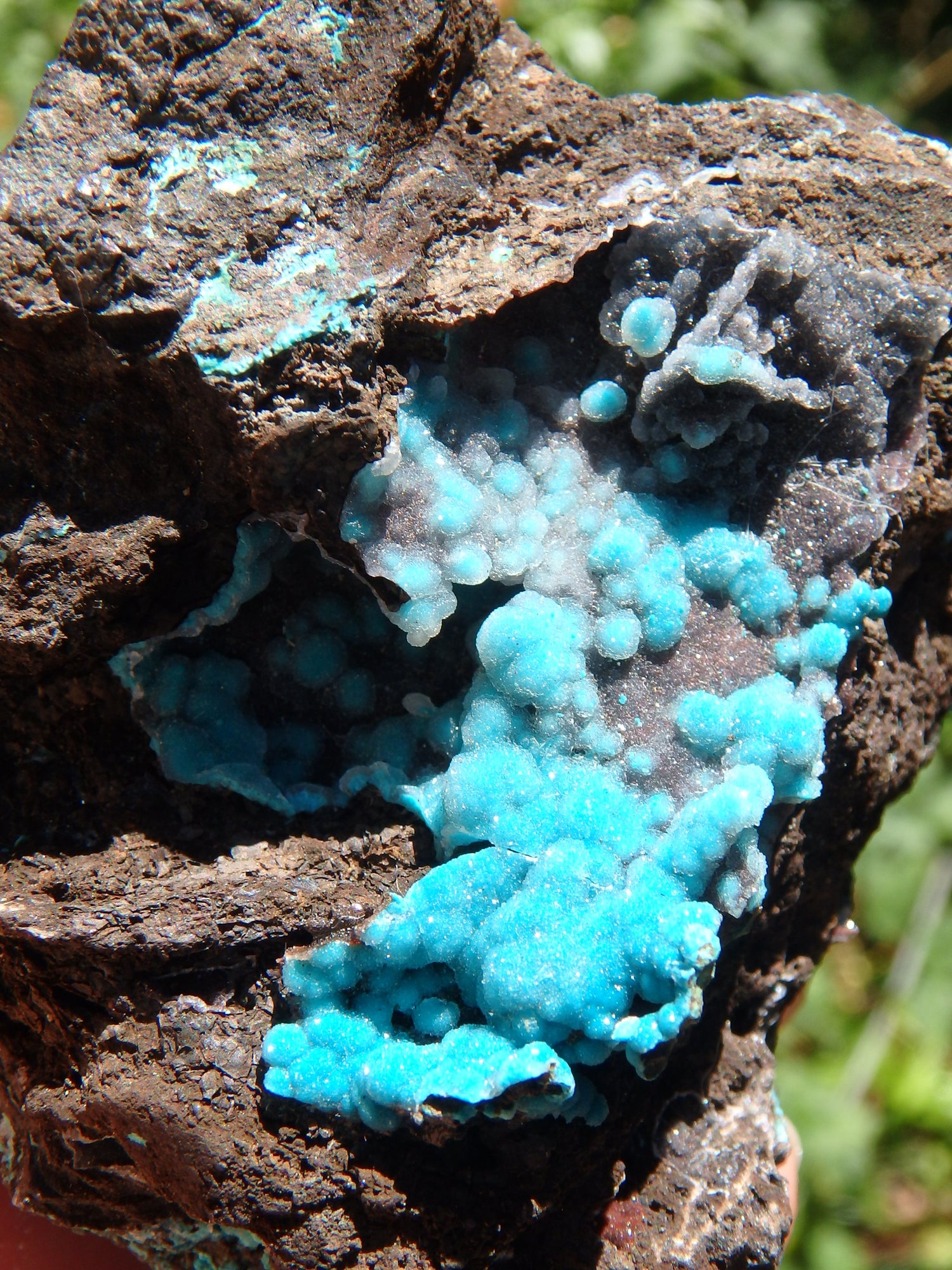 Pretty Blue Druzy on Matrix Hemimorphite Specimen - Metiz Tier Price
