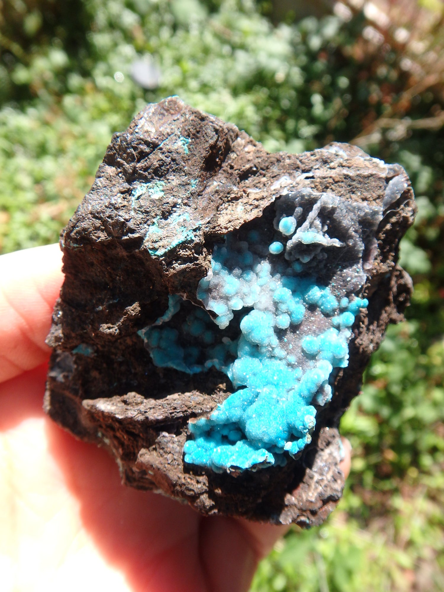Pretty Blue Druzy on Matrix Hemimorphite Specimen - Metiz Tier Price