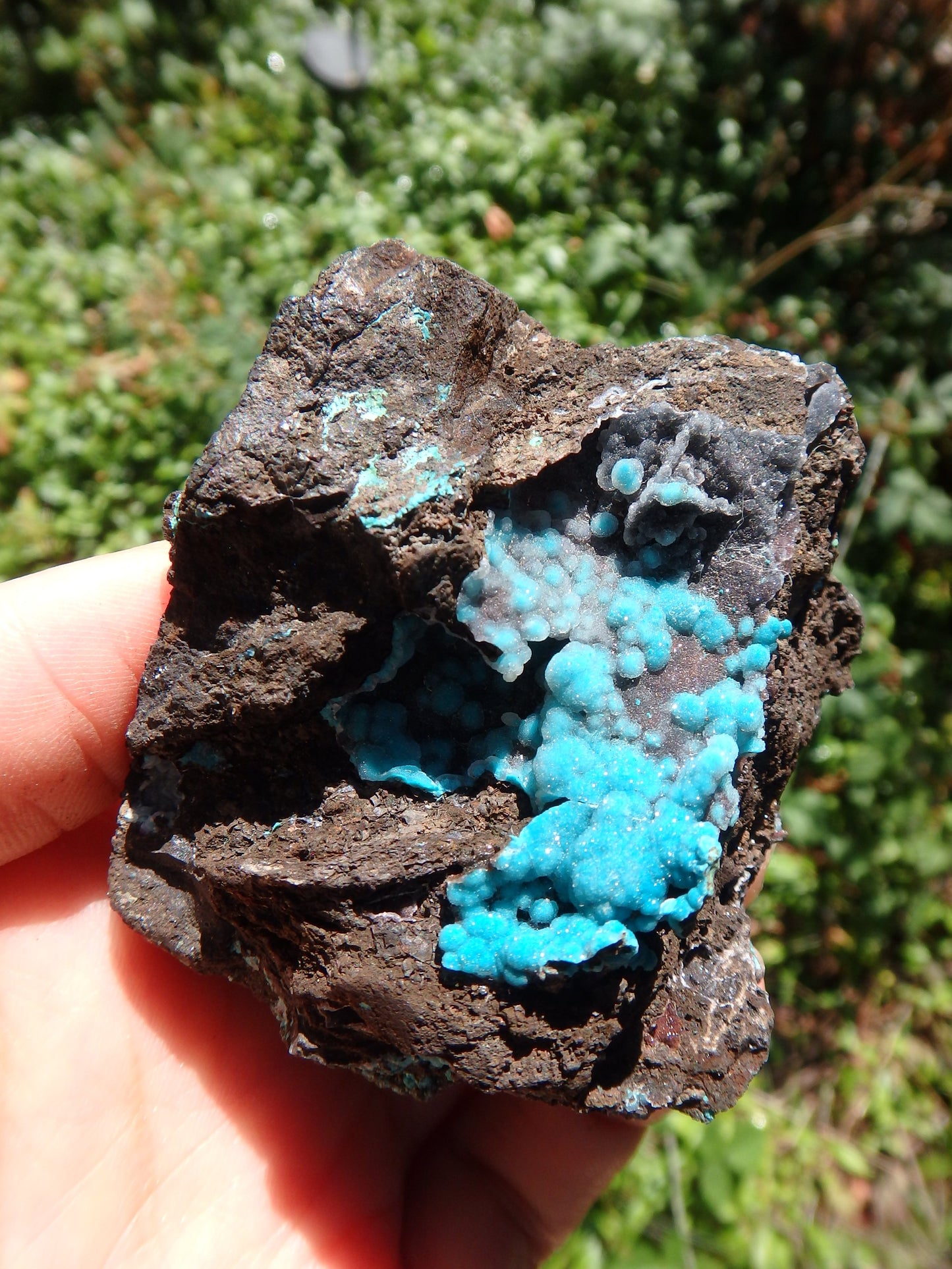 Pretty Blue Druzy on Matrix Hemimorphite Specimen - Metiz Tier Price