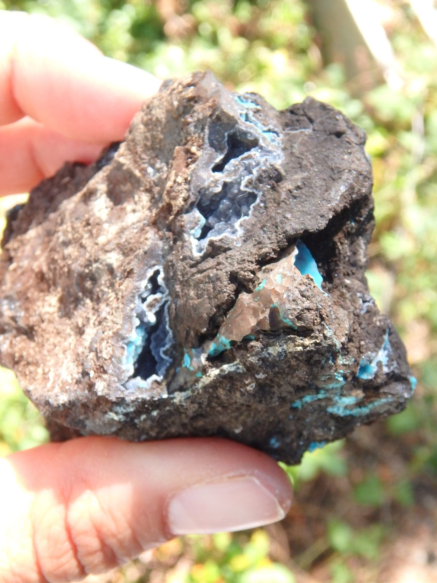 Pretty Blue Druzy on Matrix Hemimorphite Specimen - Metiz Tier Price