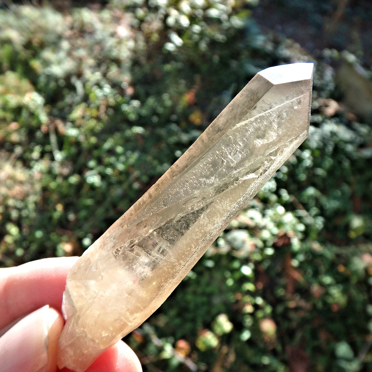 Natural Citrine Quartz Point From The Congo - Earth Family Crystals