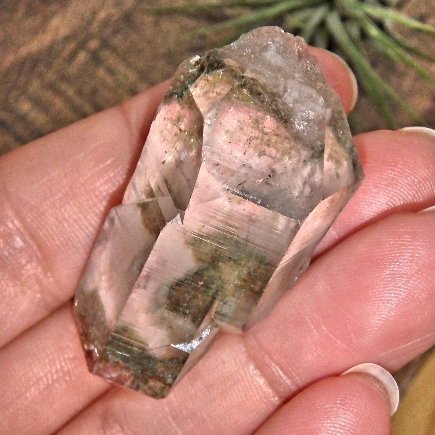 Grassy Green Inclusions Green Samadhi Himalayan Quartz Point With Self Healing - Earth Family Crystals