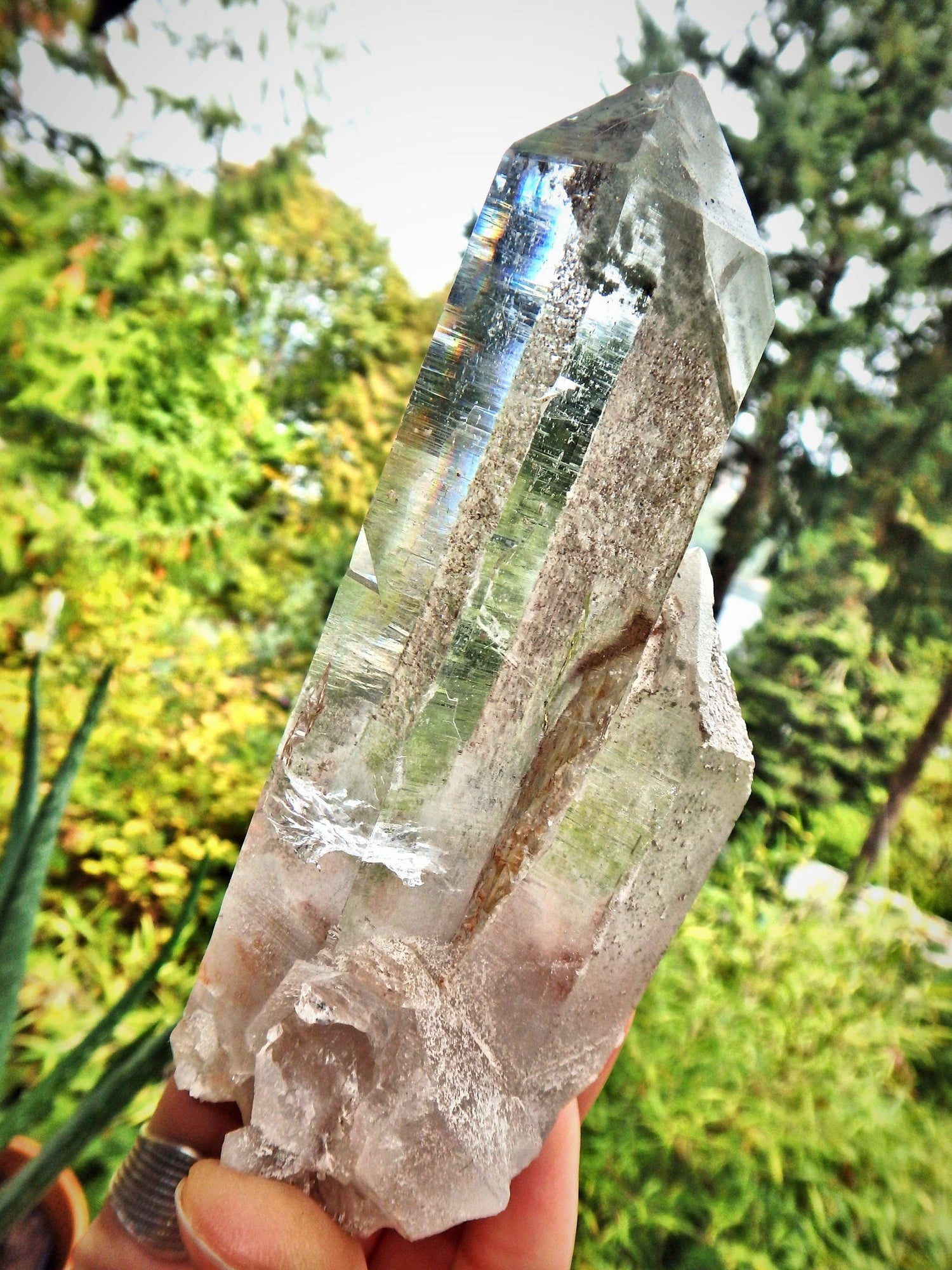  Brilliant Samadhi Twin Himalayan Quartz Large Cluster With Green Chlorite Inclusions & Self Healing