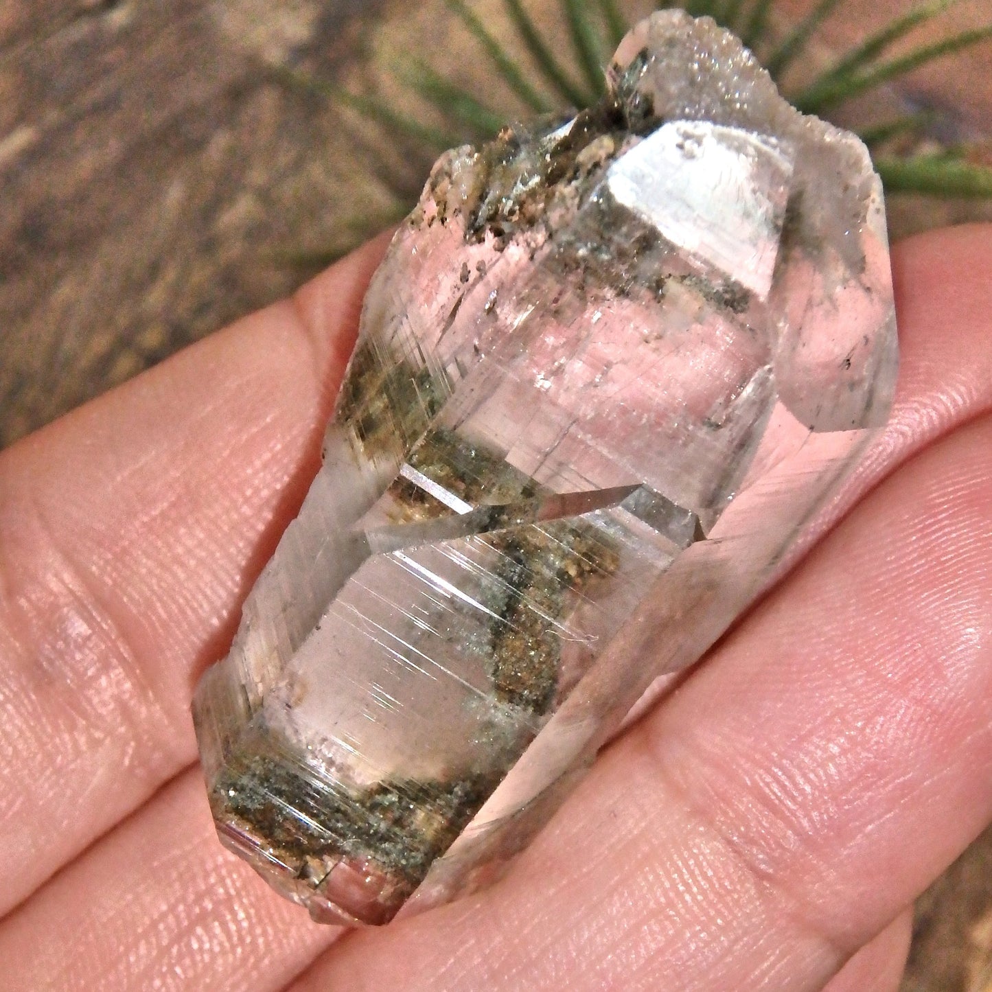 Grassy Green Inclusions Green Samadhi Himalayan Quartz Point With Self Healing - Earth Family Crystals