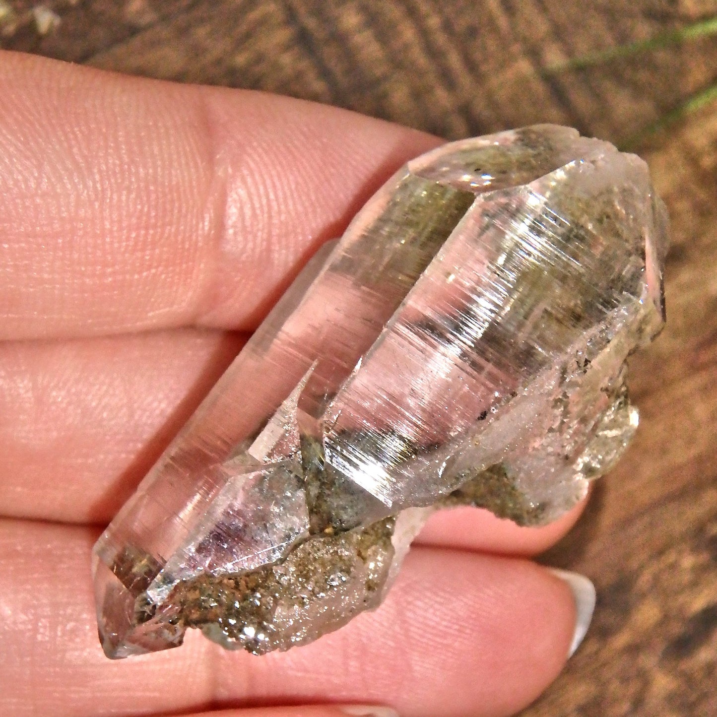 Grassy Green Inclusions Green Samadhi Himalayan Quartz Point With Self Healing - Earth Family Crystals