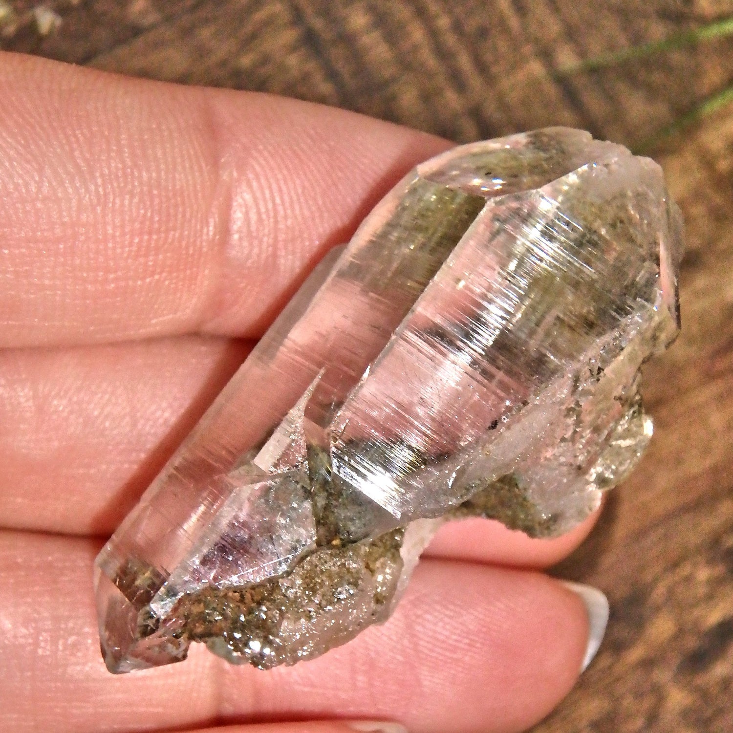 Grassy Green Inclusions Green Samadhi Himalayan Quartz Point With Self Healing - Earth Family Crystals