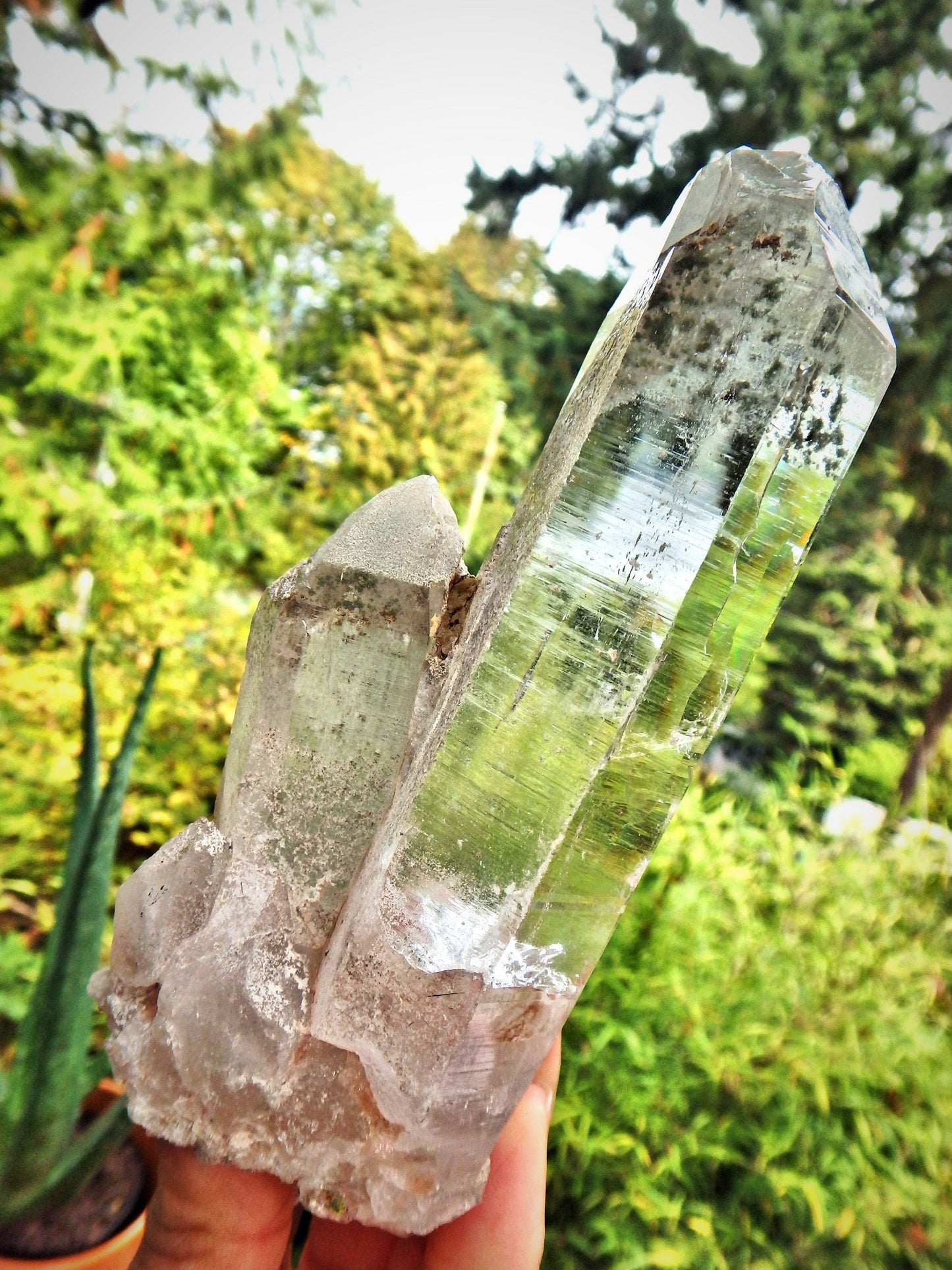  Brilliant Samadhi Twin Himalayan Quartz Large Cluster With Green Chlorite Inclusions & Self Healing