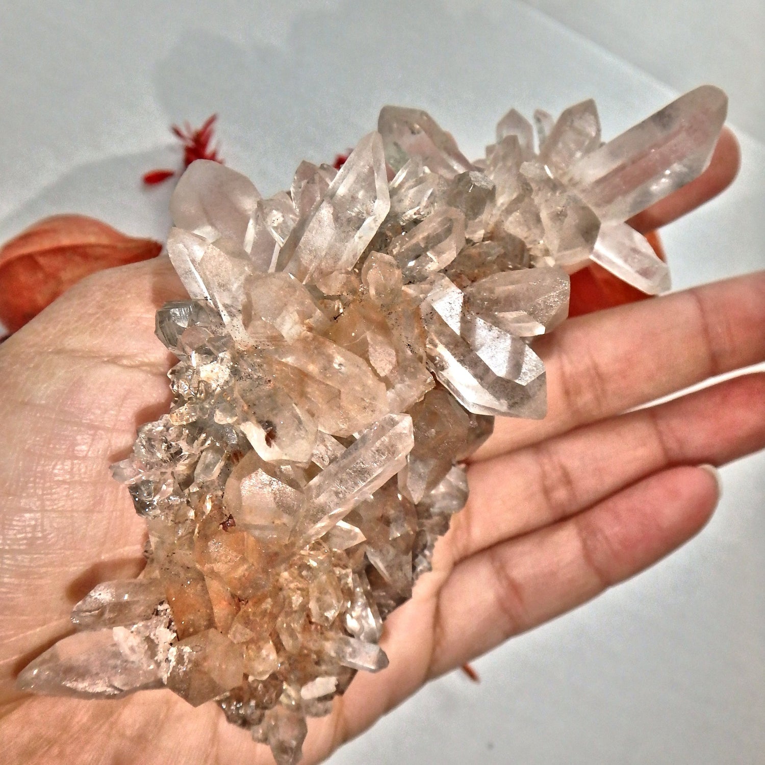 High Vibration Pink Samadhi Himalayan Quartz Double Sided Beauty Cluster - Earth Family Crystals