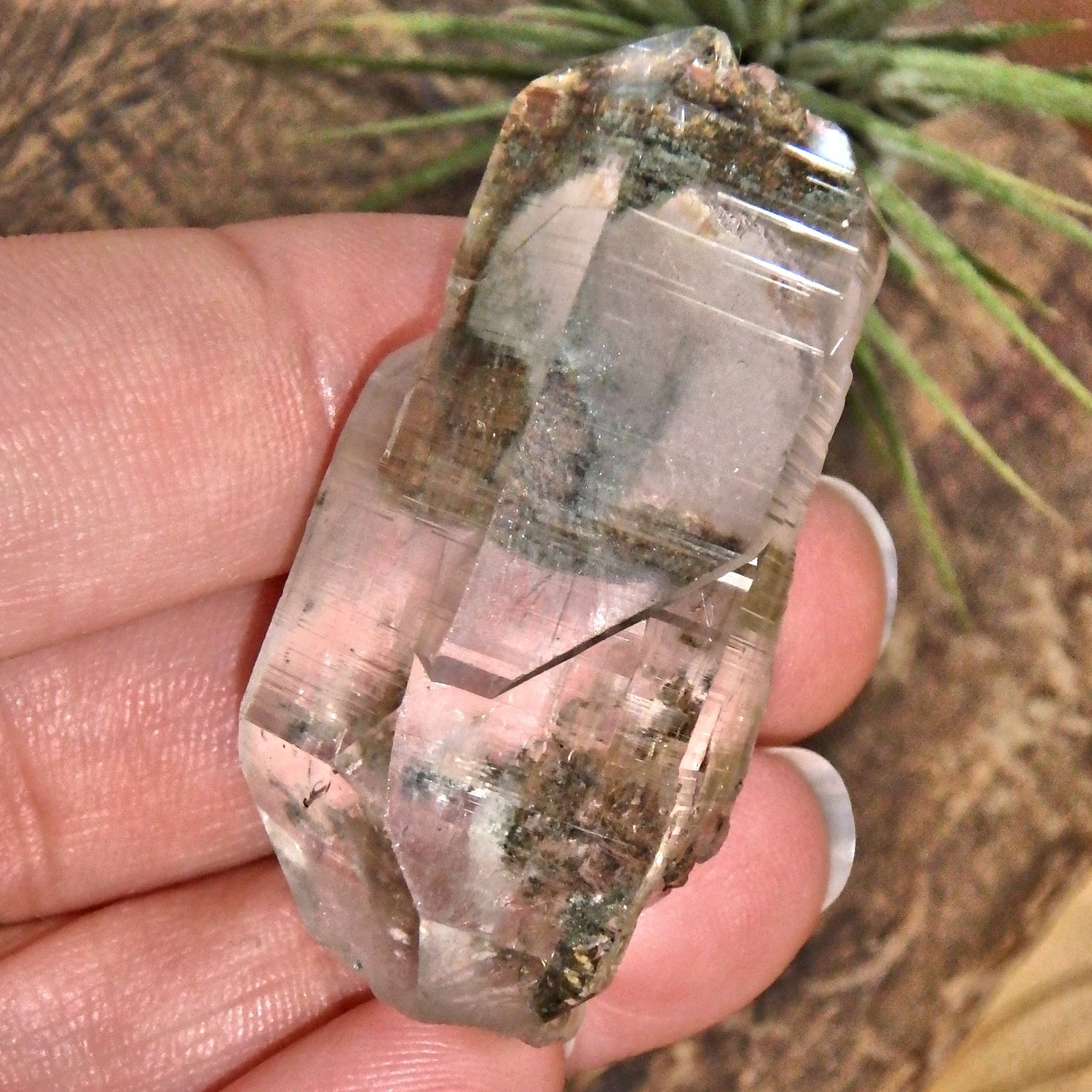 Grassy Green Inclusions Green Samadhi Himalayan Quartz Point With Self Healing - Earth Family Crystals