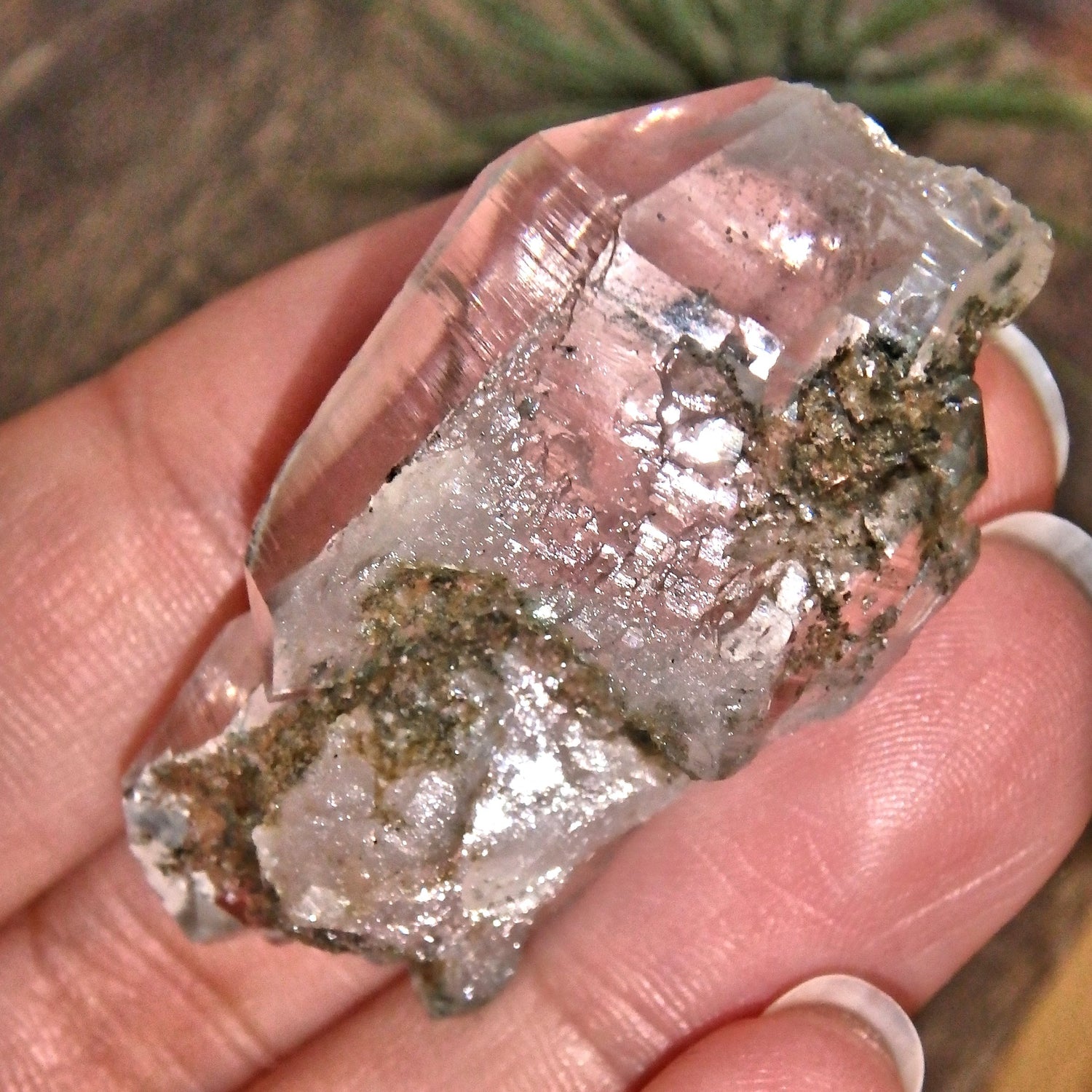 Grassy Green Inclusions Green Samadhi Himalayan Quartz Point With Self Healing - Earth Family Crystals
