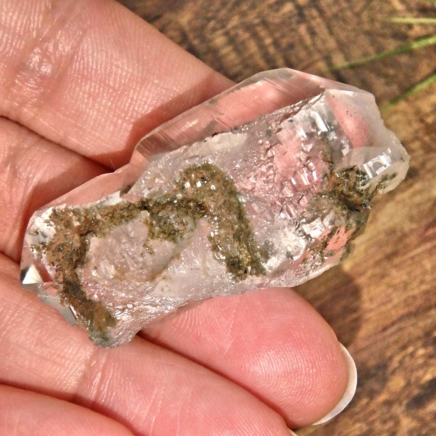 Grassy Green Inclusions Green Samadhi Himalayan Quartz Point With Self Healing - Earth Family Crystals