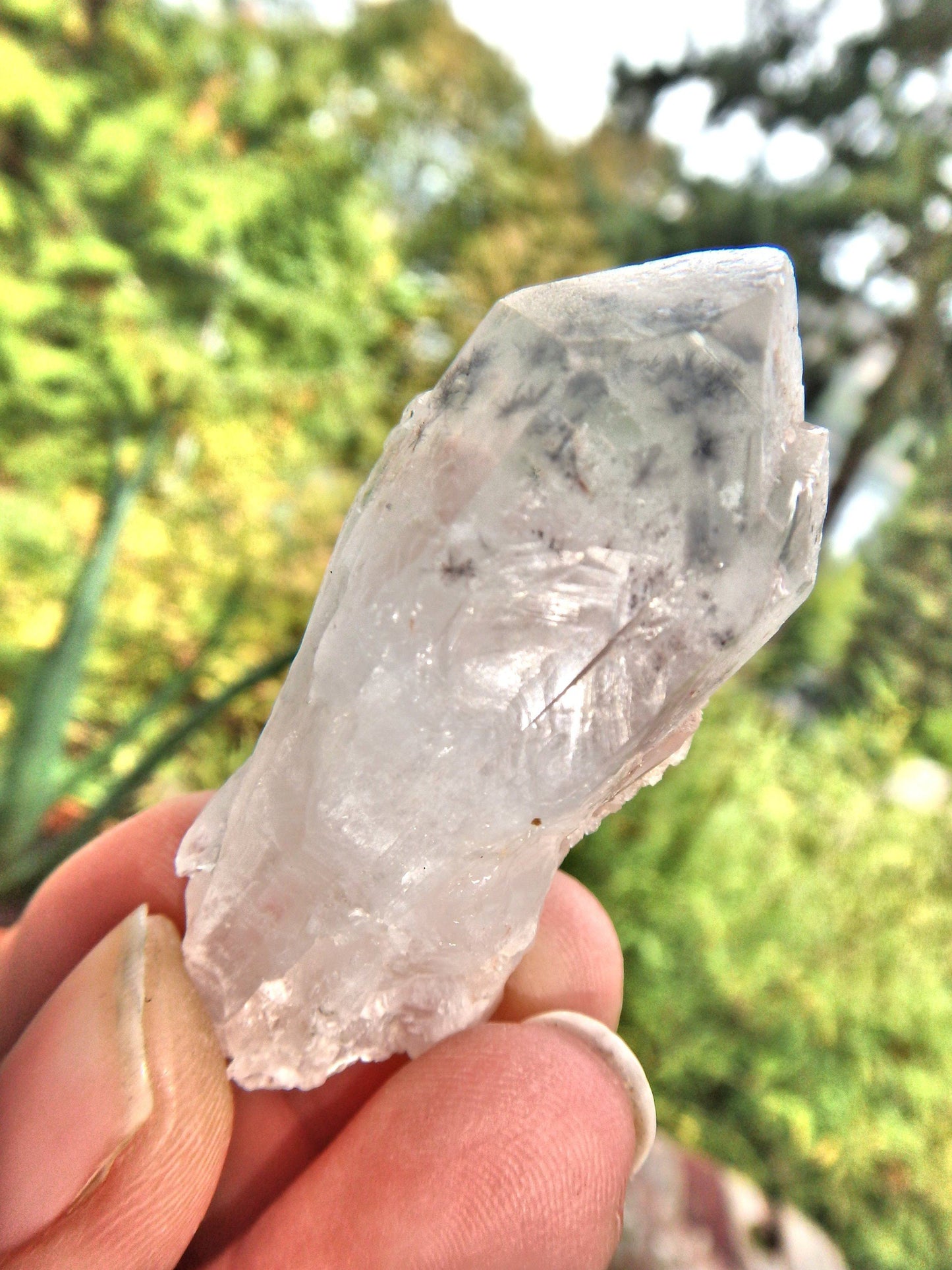  Bursts of Star Hollandite Elestial Quartz Point From Madagascar
