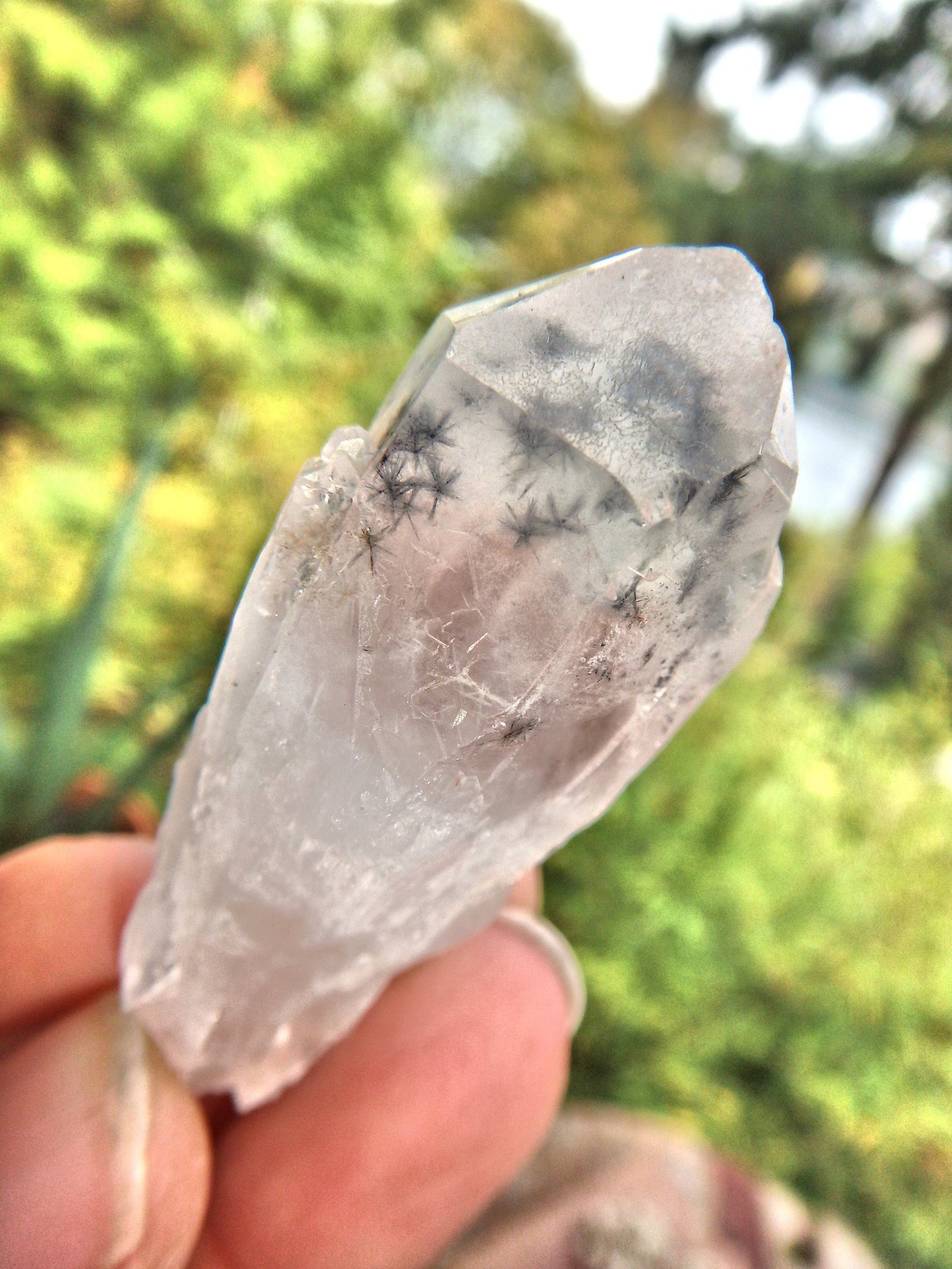  Bursts of Star Hollandite Elestial Quartz Point From Madagascar