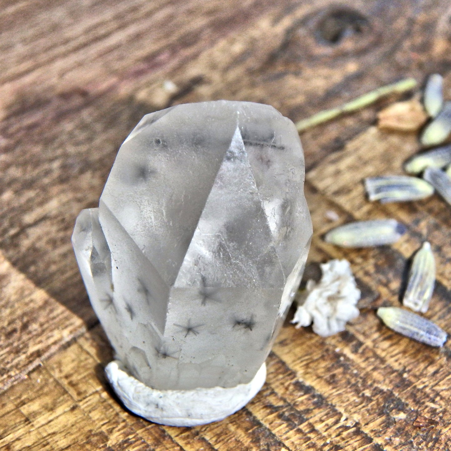 Rare Star Hollandite Quartz Dainty Collectors Specimen From Madagascar 2