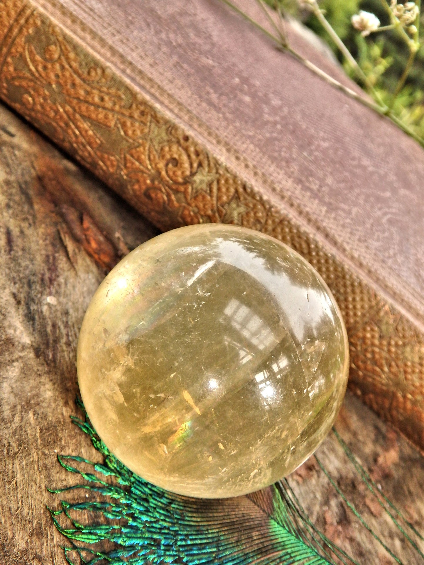 Optical Golden Orb Honey Calcite Sphere Carving 1 - Metiz Tier Price