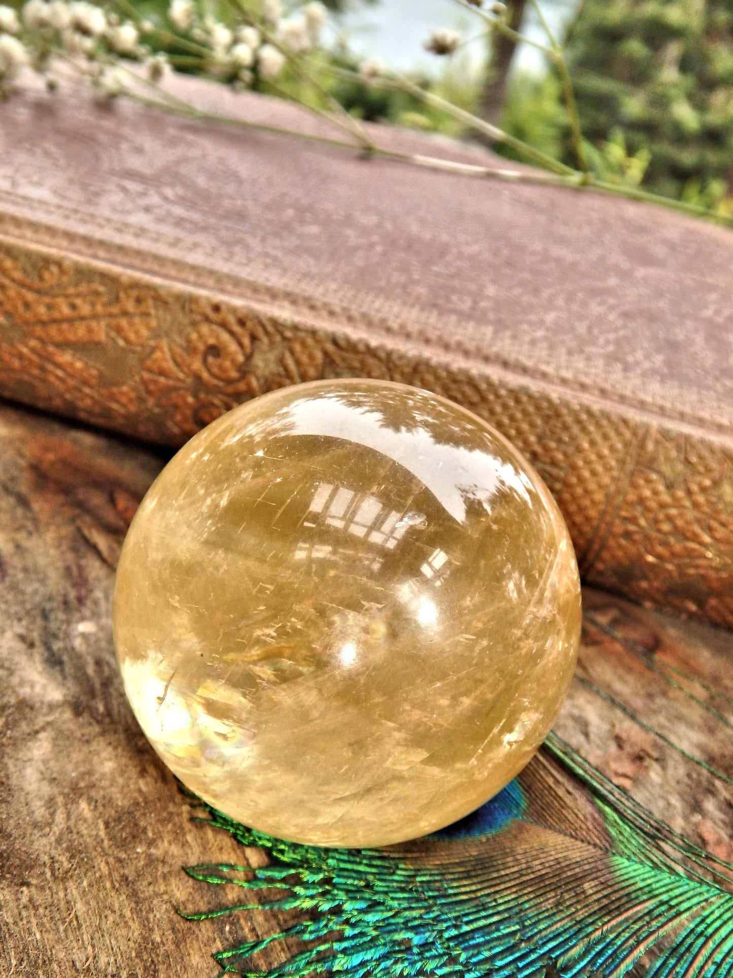 Optical Golden Orb Honey Calcite Sphere Carving 2 - Metiz Tier Price