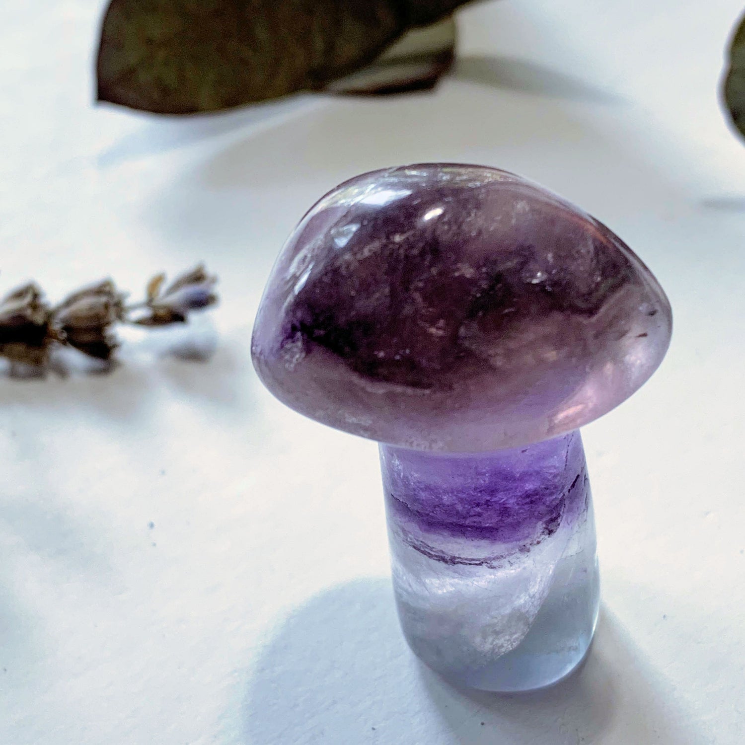  Adorable Rainbow Fluorite Mushroom Standing Display Carving