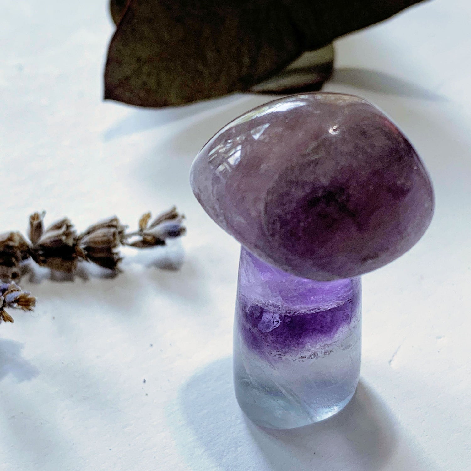  Adorable Rainbow Fluorite Mushroom Standing Display Carving