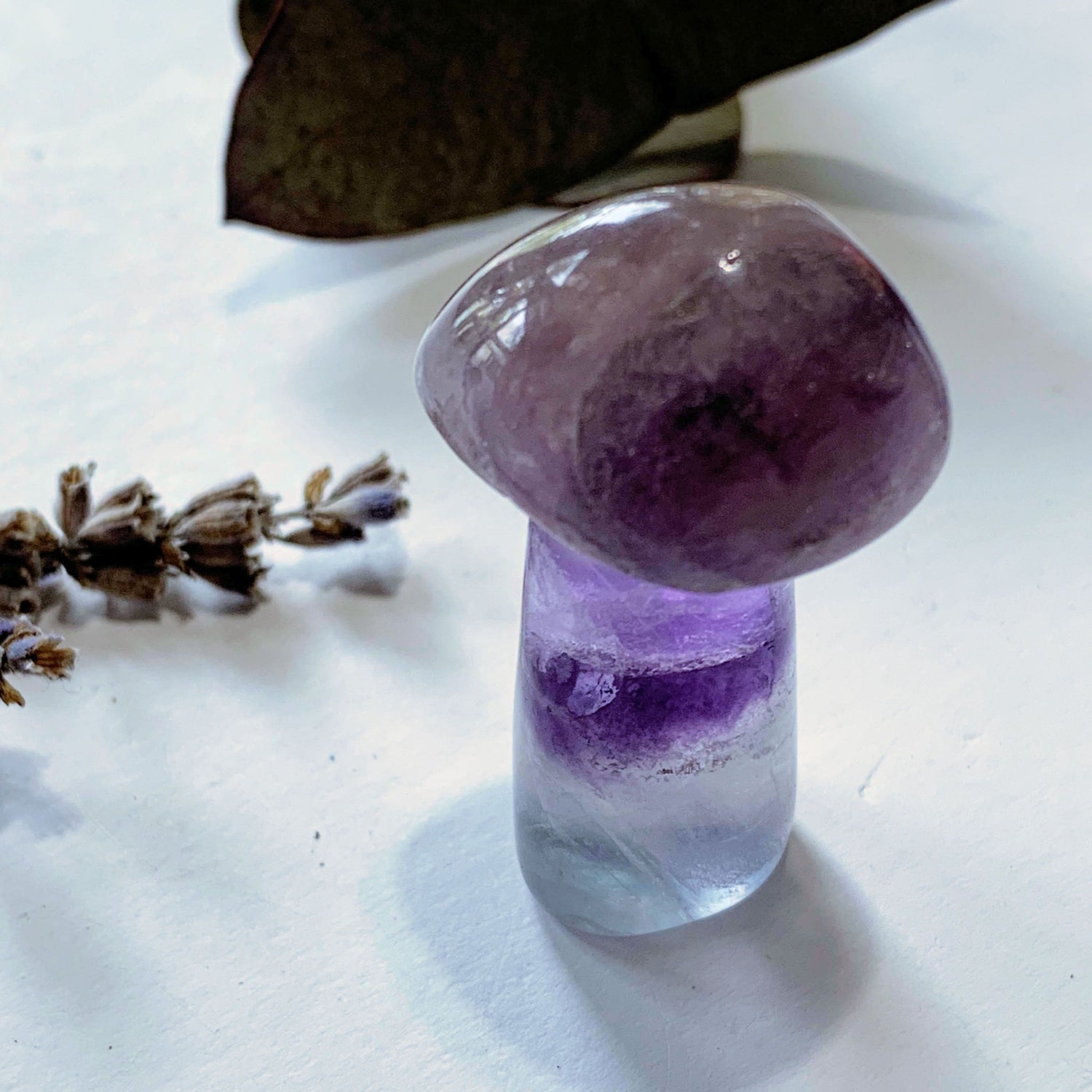  Adorable Rainbow Fluorite Mushroom Standing Display Carving