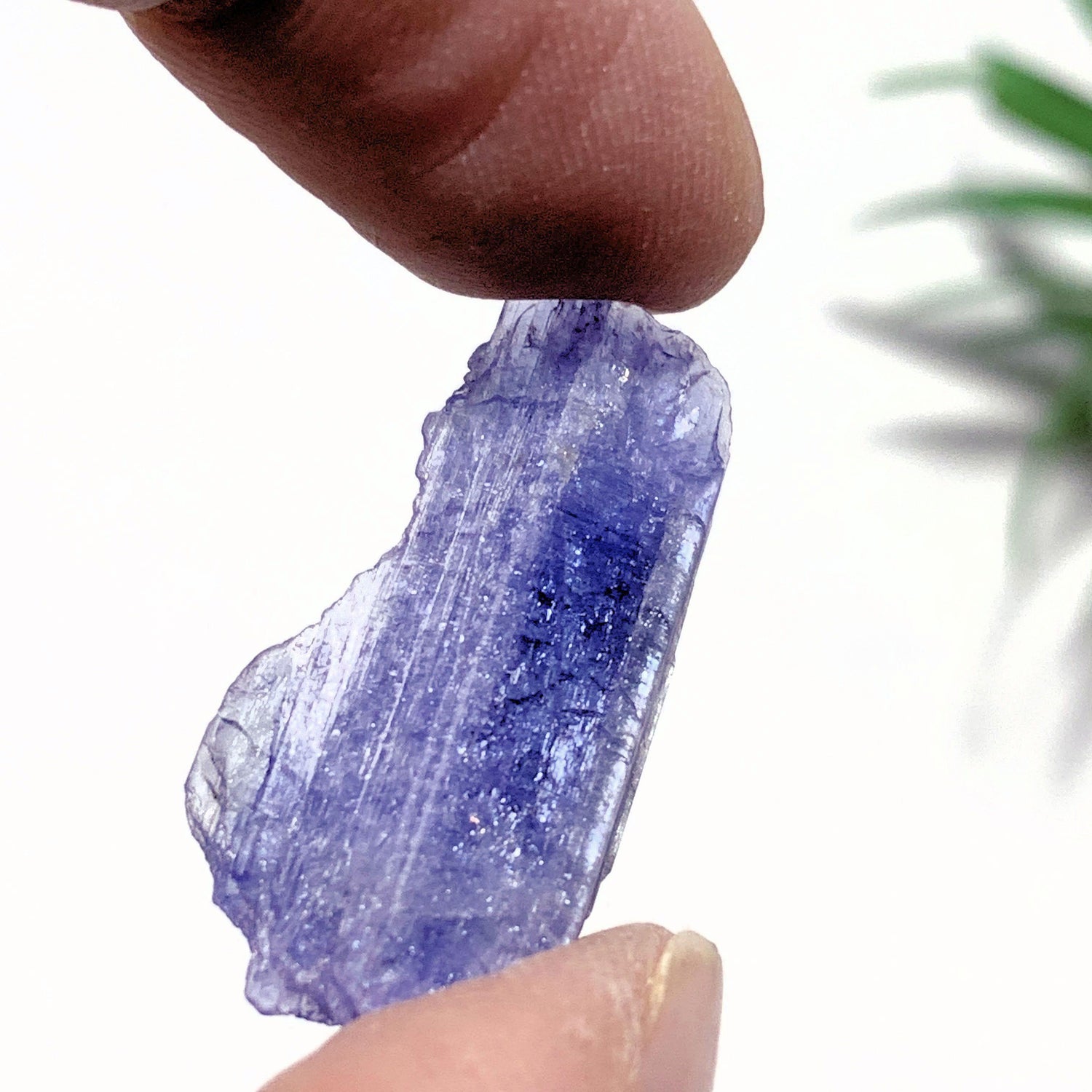  14 Carats~Terminated Gemmy Violet Tanzanite Self Healed Specimen~Locality Tanzania