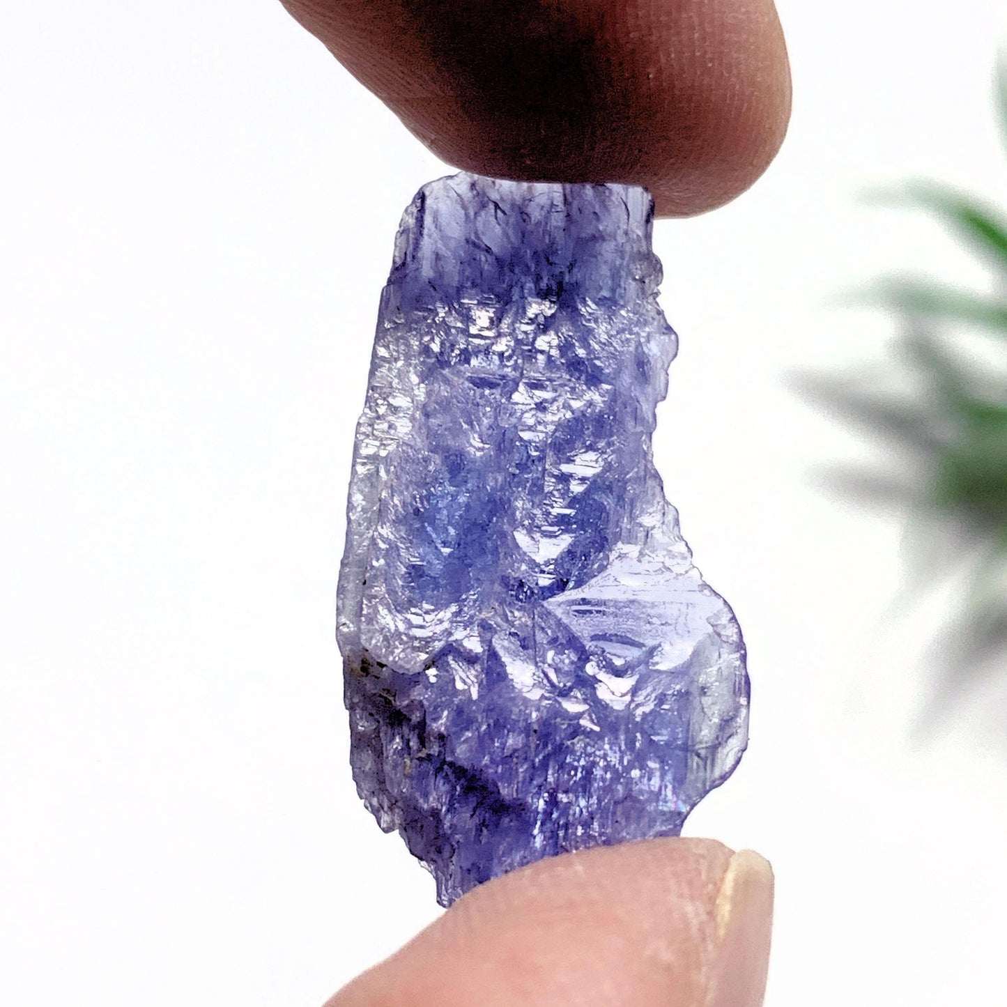  14 Carats~Terminated Gemmy Violet Tanzanite Self Healed Specimen~Locality Tanzania