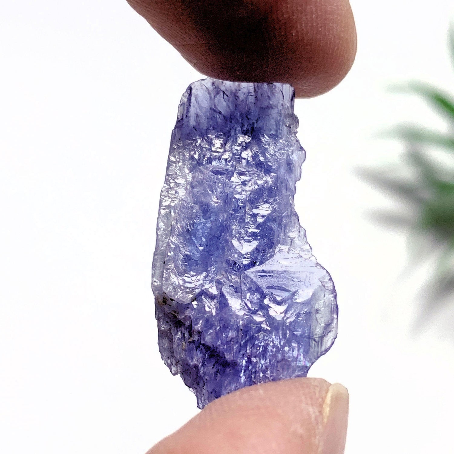  14 Carats~Terminated Gemmy Violet Tanzanite Self Healed Specimen~Locality Tanzania