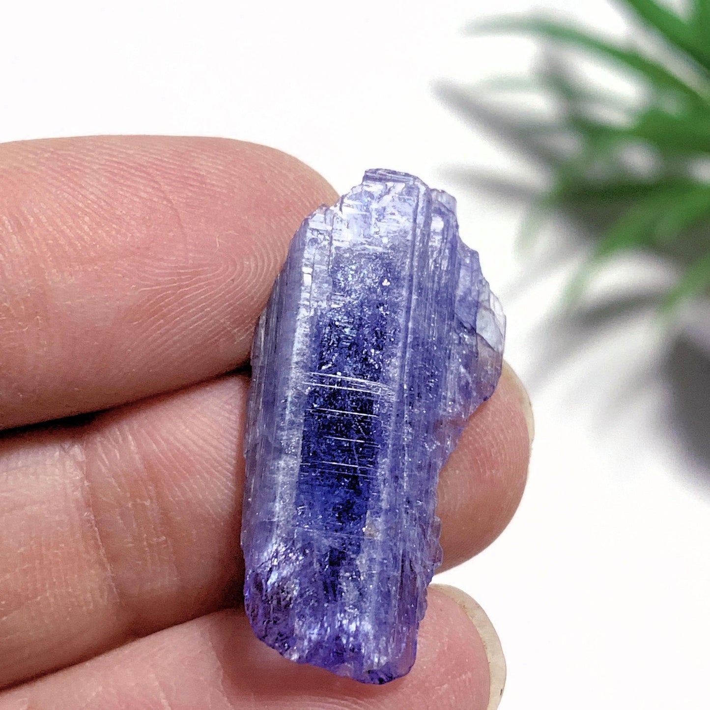  14 Carats~Terminated Gemmy Violet Tanzanite Self Healed Specimen~Locality Tanzania