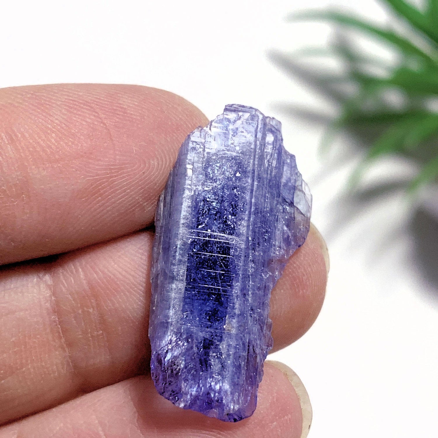  14 Carats~Terminated Gemmy Violet Tanzanite Self Healed Specimen~Locality Tanzania