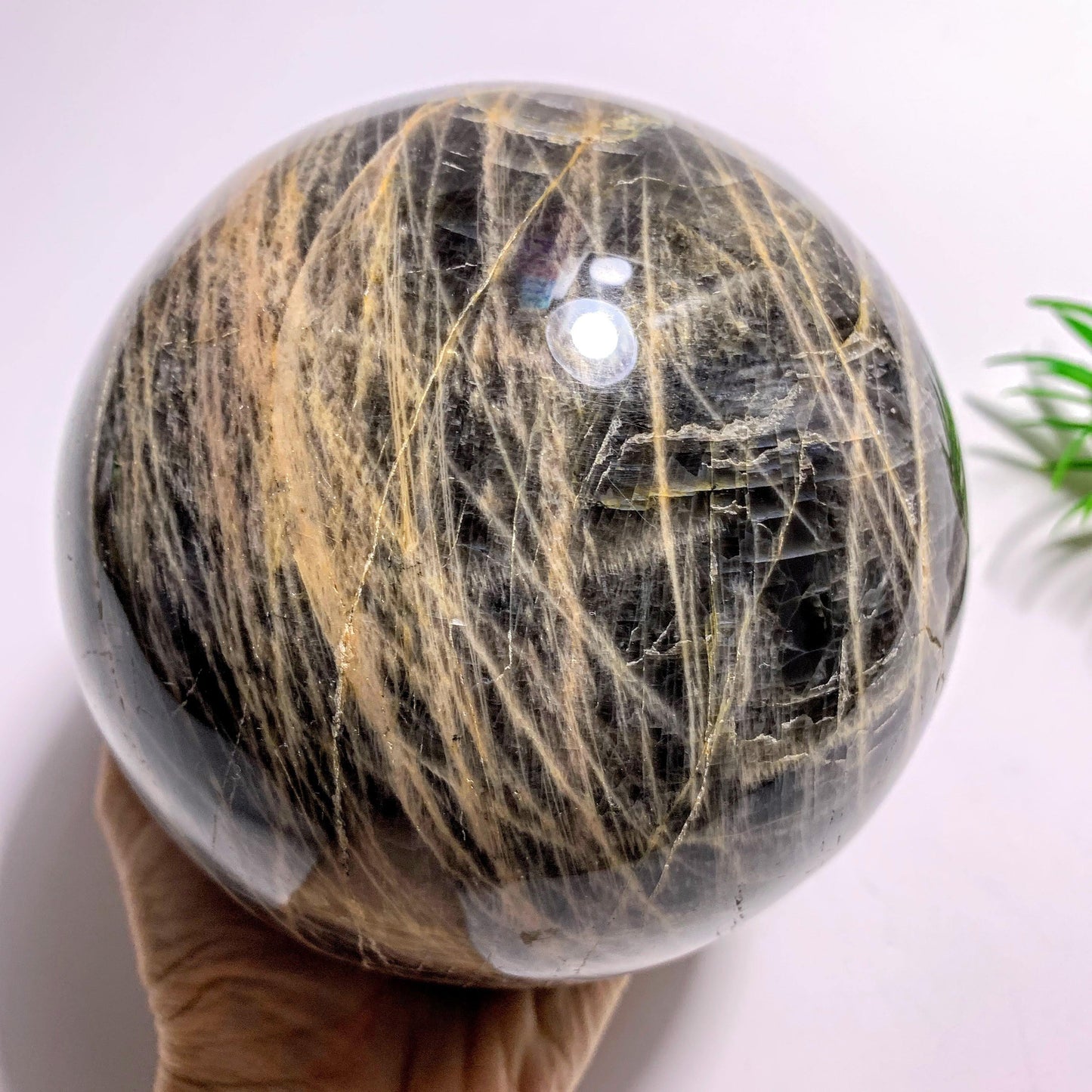  3.3 KG Jumbo Supreme! Mysterious Shimmer Black Moonstone Sphere Carving~Locality Madagascar