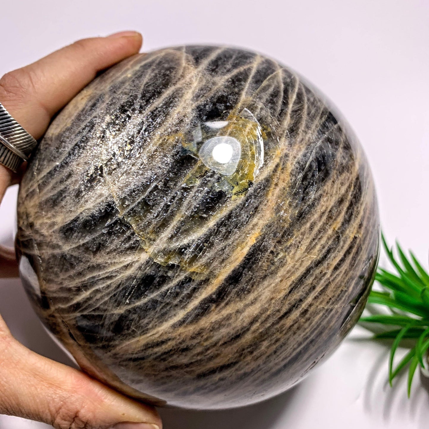  3.3 KG Jumbo Supreme! Mysterious Shimmer Black Moonstone Sphere Carving~Locality Madagascar