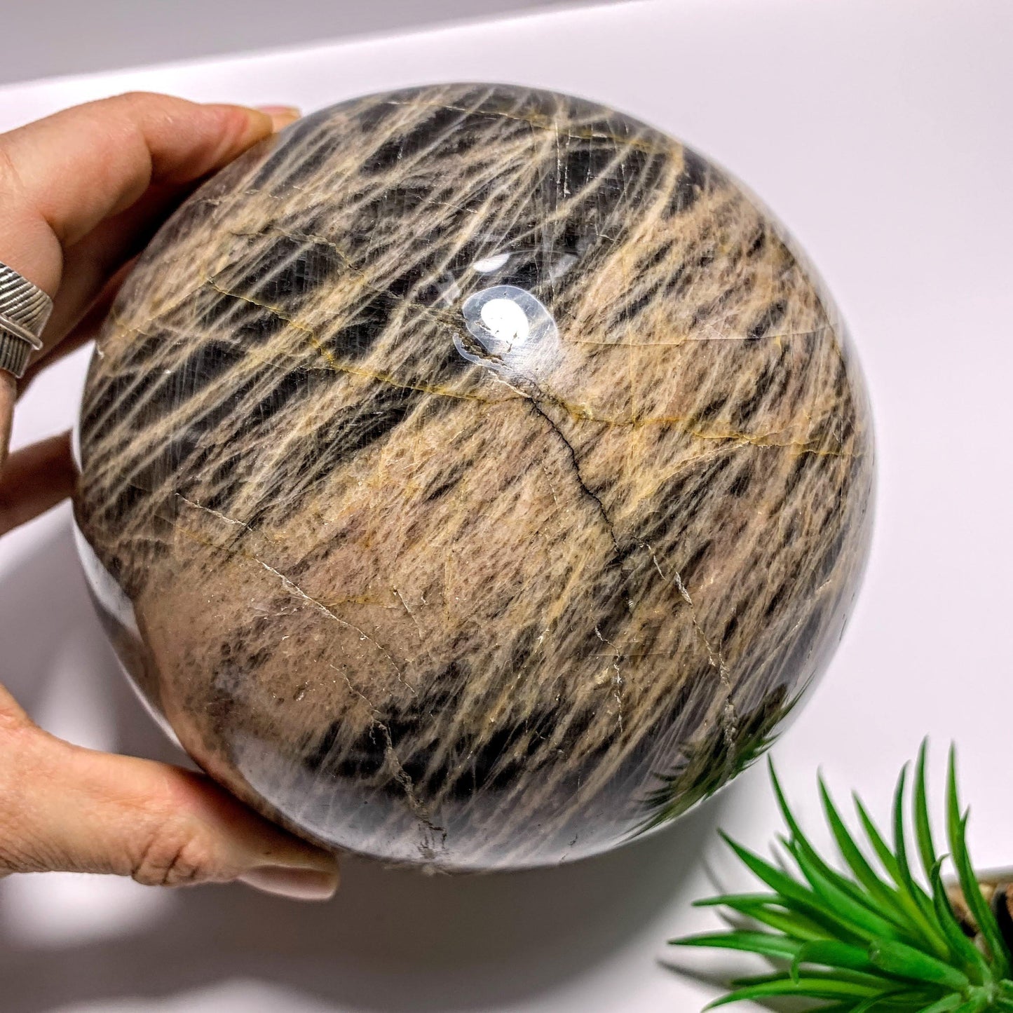  3.3 KG Jumbo Supreme! Mysterious Shimmer Black Moonstone Sphere Carving~Locality Madagascar