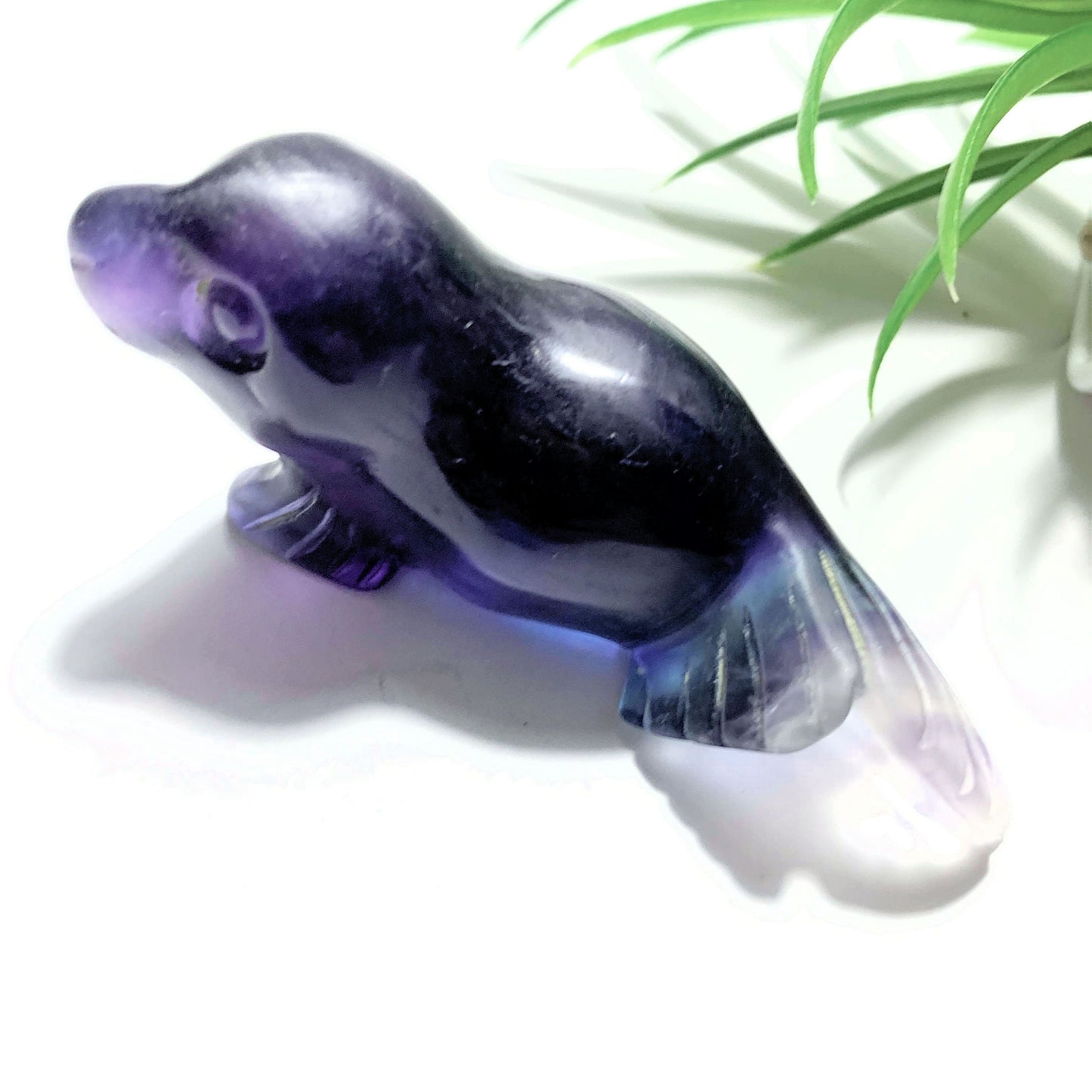 Adorable Rainbow Fluorite Sea Lion Display Carving *REDUCED*