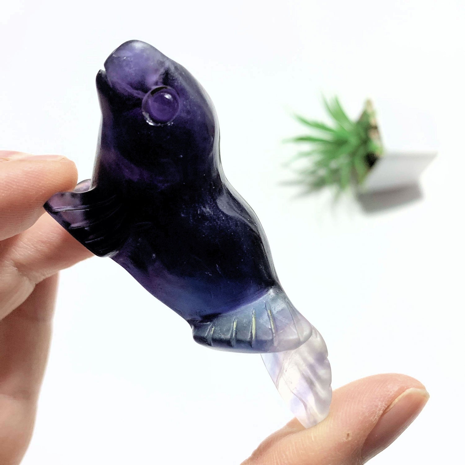  Adorable Rainbow Fluorite Sea Lion Display Carving *REDUCED*
