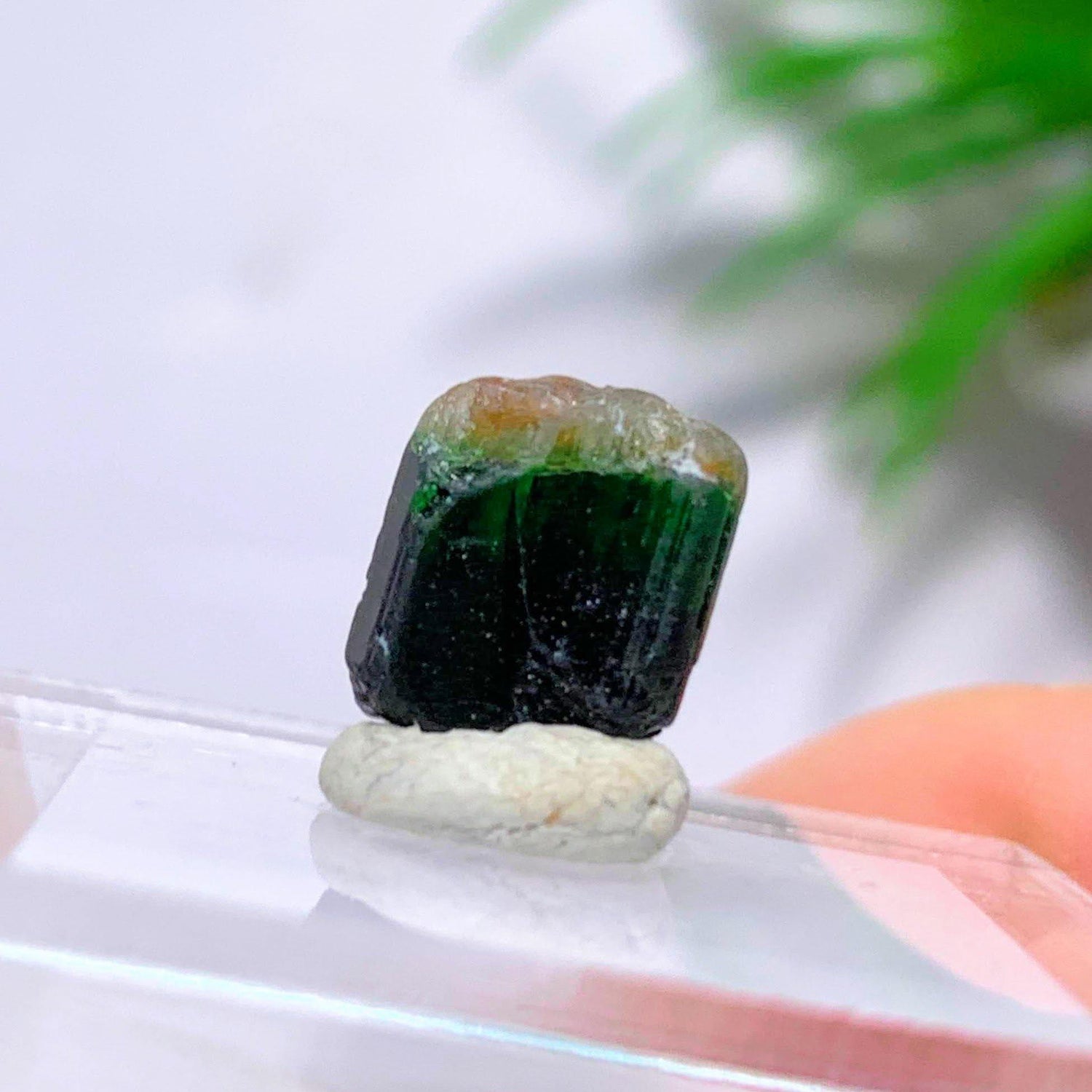  4.5 Carats Chrome Tourmaline Collectors Specimen on Stand~Locality Tanzania