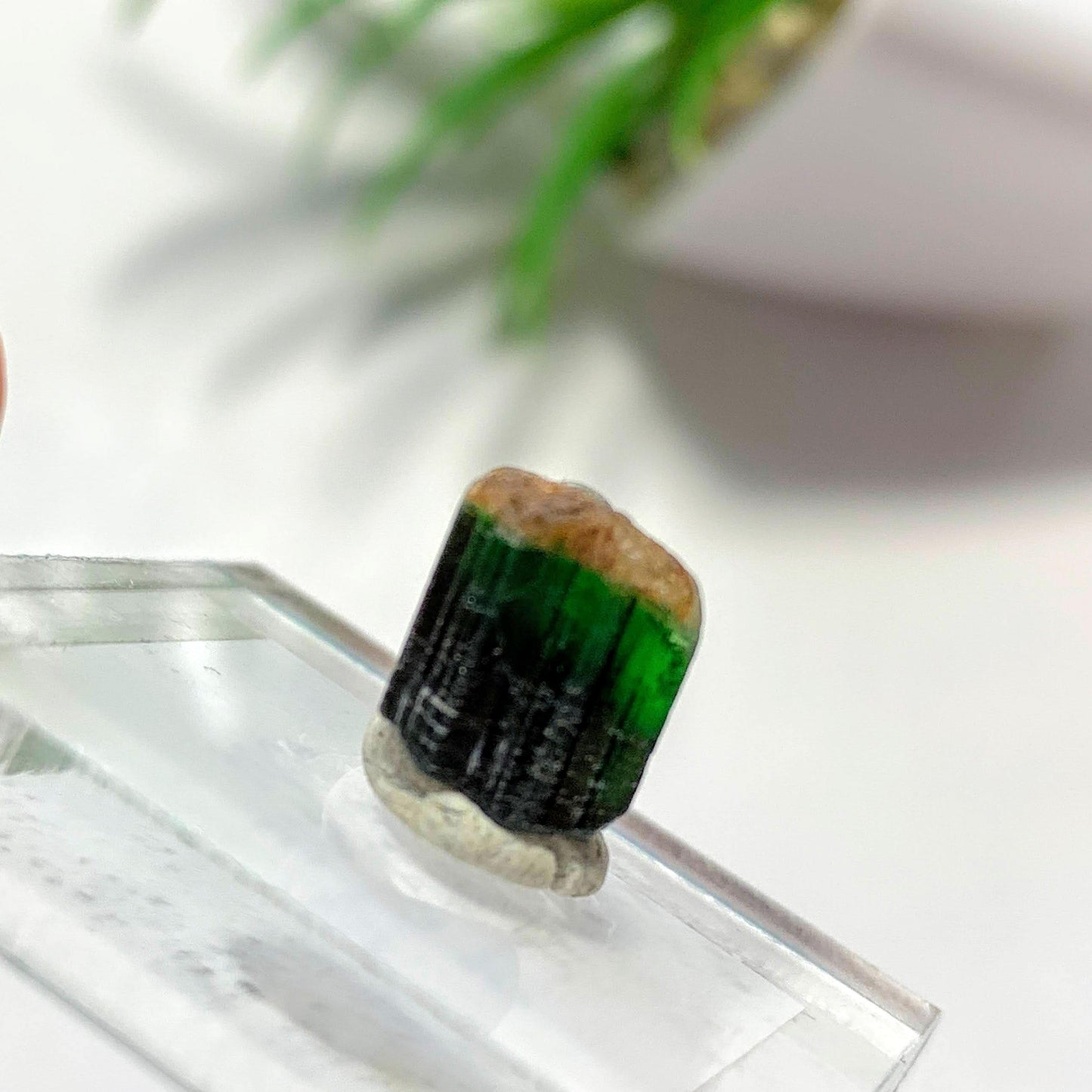  4.5 Carats Chrome Tourmaline Collectors Specimen on Stand~Locality Tanzania