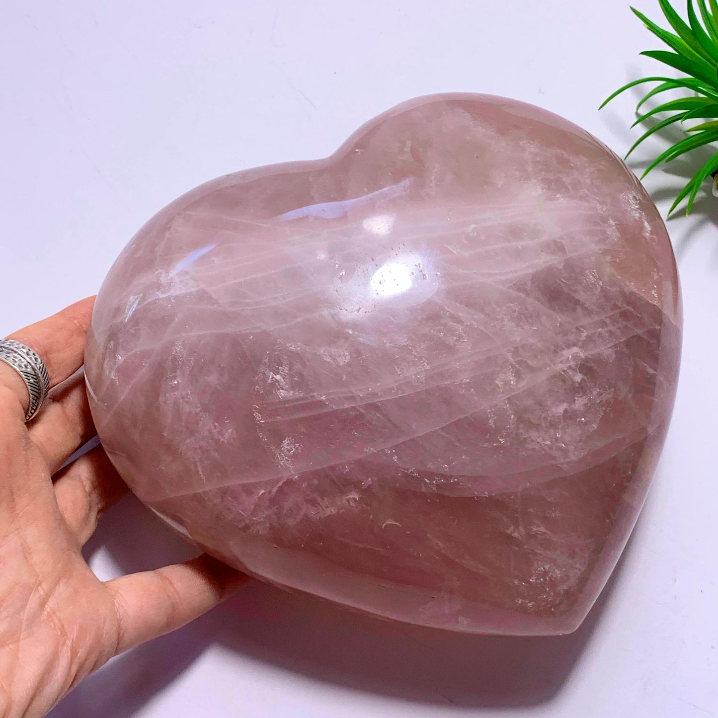  2.7 KG~Huge & Gorgeous Pink Rose Quartz Display Heart Carving~Locality Madagascar