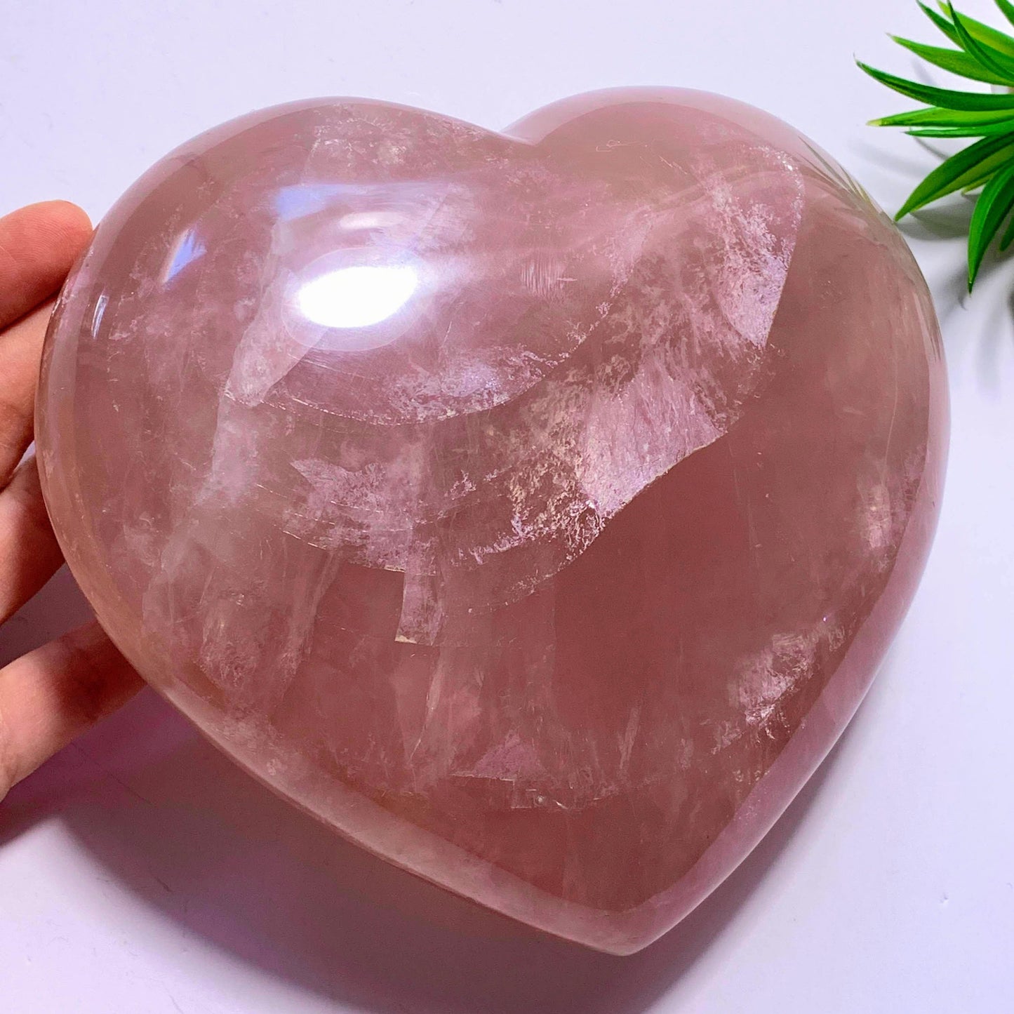  2.7 KG~Huge & Gorgeous Pink Rose Quartz Display Heart Carving~Locality Madagascar