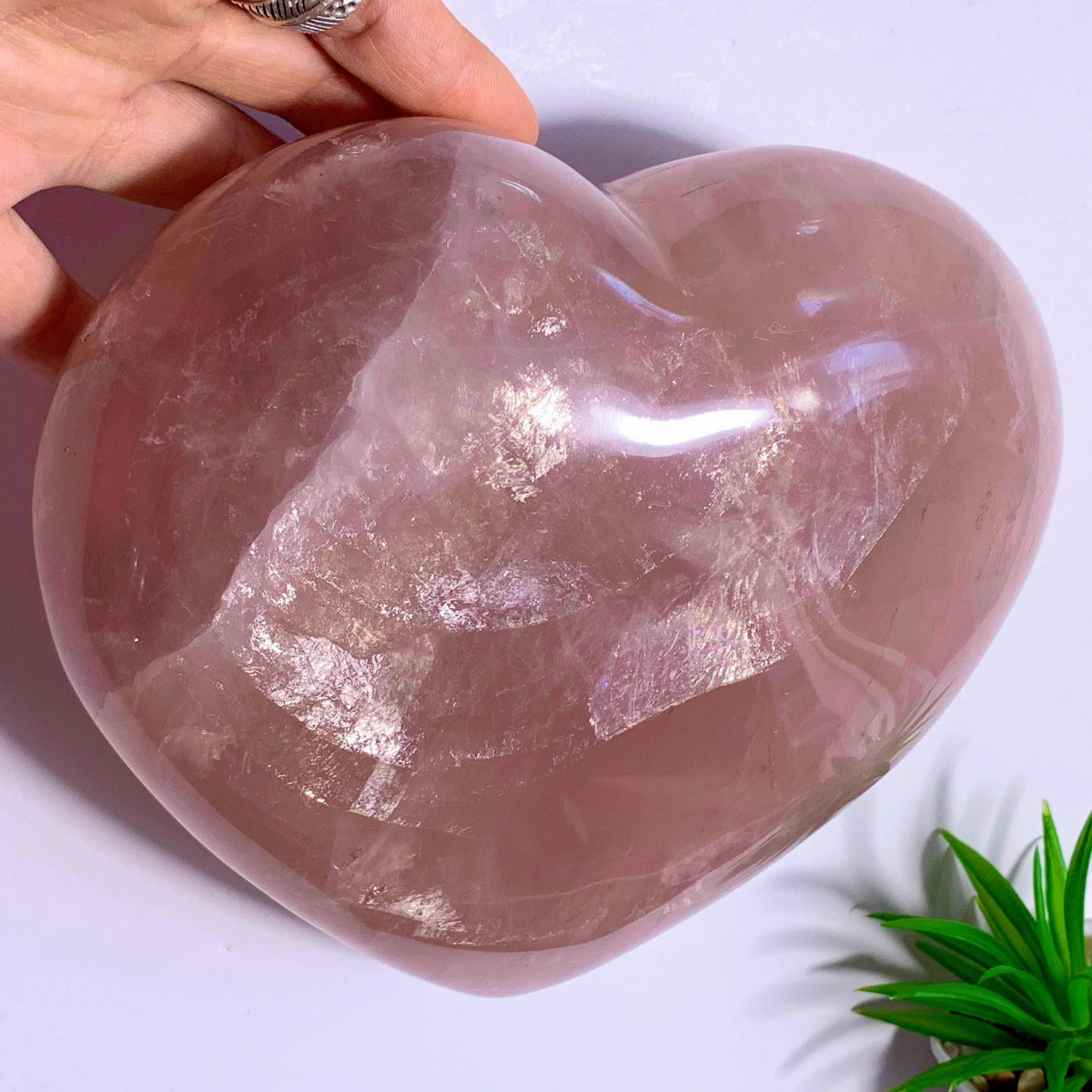  2.7 KG~Huge & Gorgeous Pink Rose Quartz Display Heart Carving~Locality Madagascar
