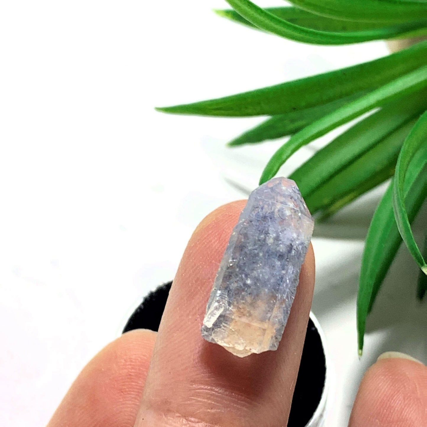  5ct ~ Rare Terminated Dainty Dumortierite Needles in Quartz From Brazil in Collectors Box