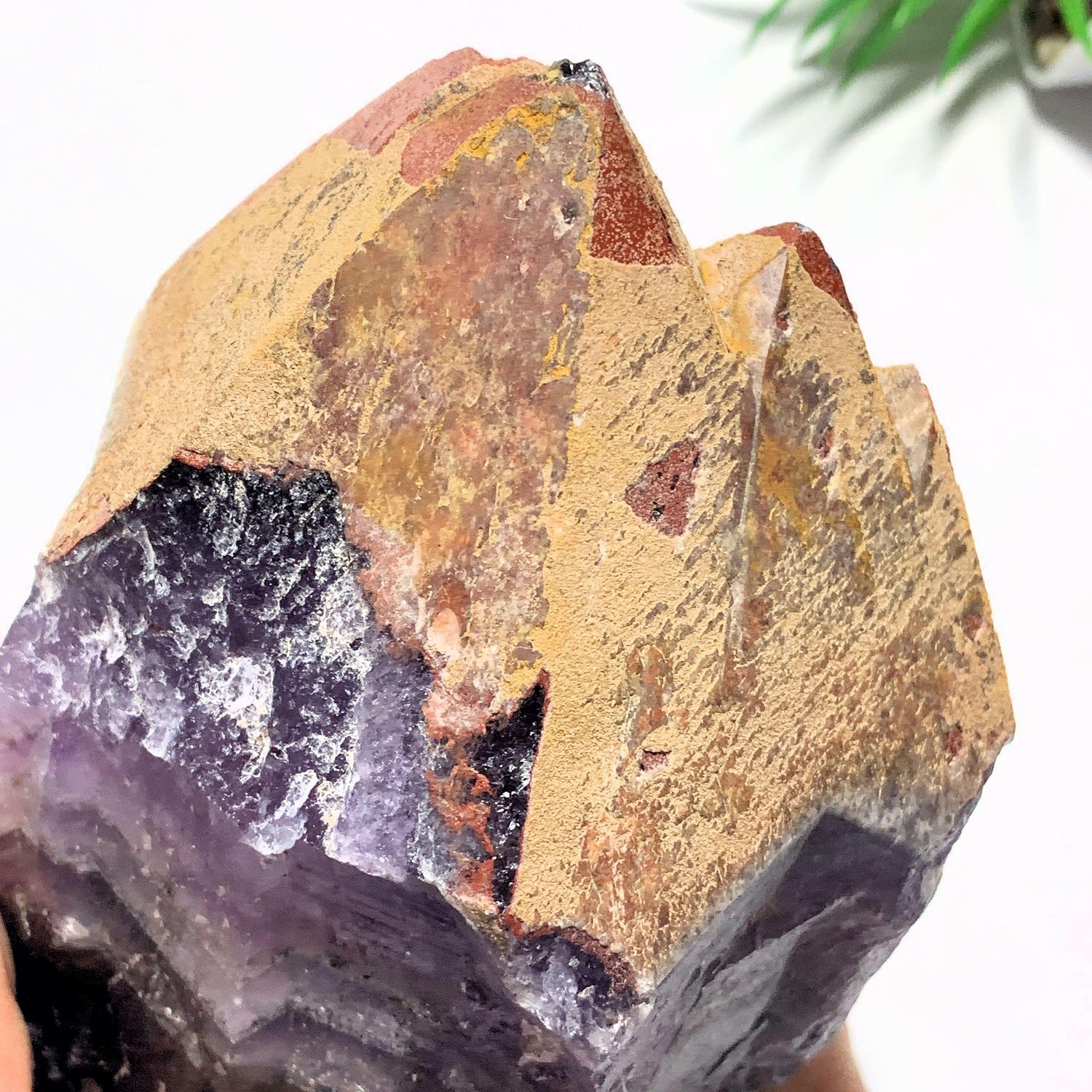  1.4kg~Incredible XL Red Hematite Capped Tip & Deep Purple Genuine Auralite-23 From Canada