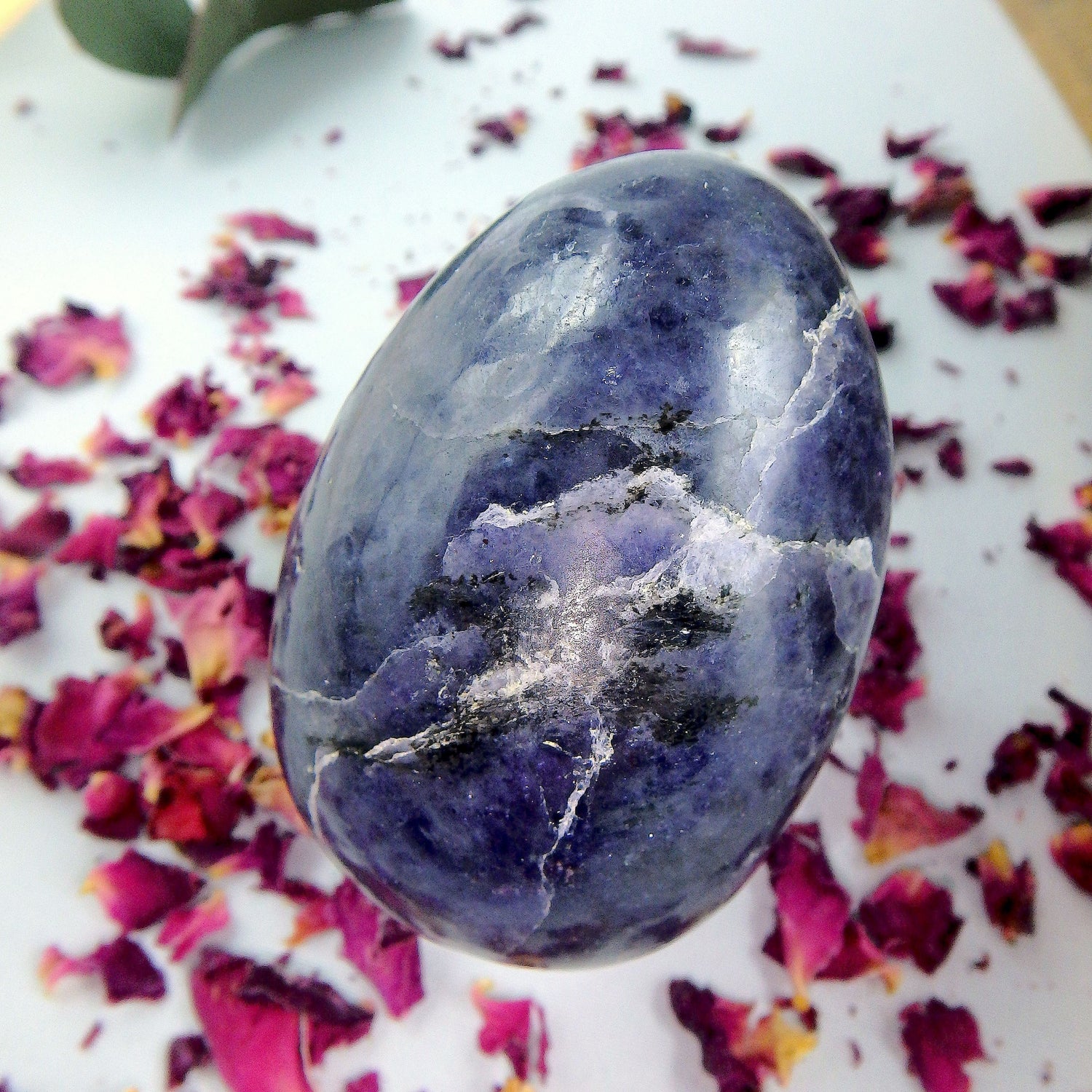  Deep Violet Blue Iolite Egg Carving