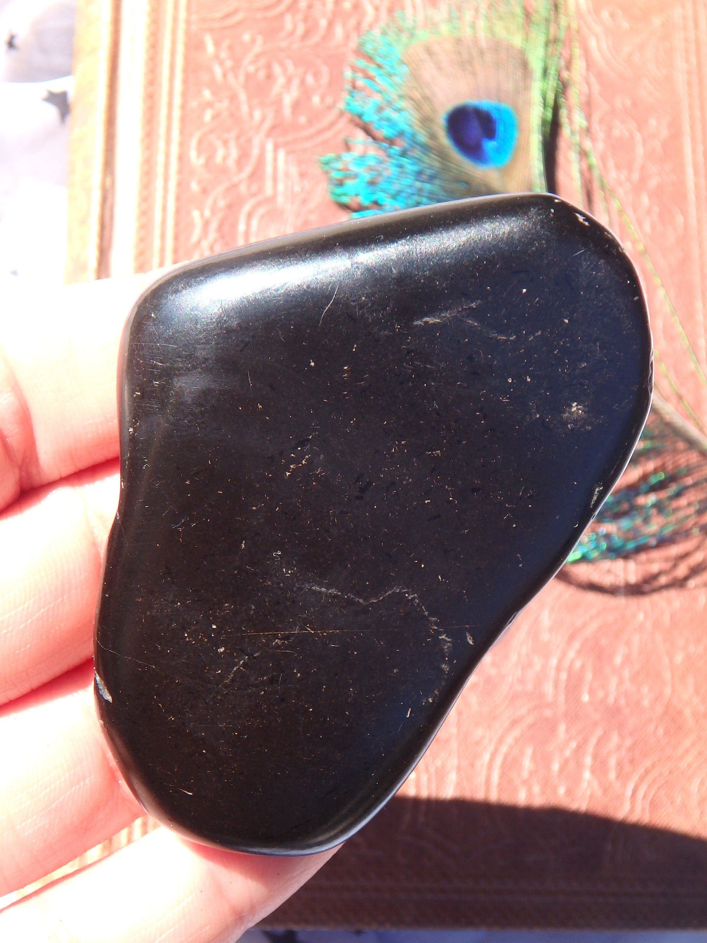  Black Jet Polished Free Form Hand Held Specimen