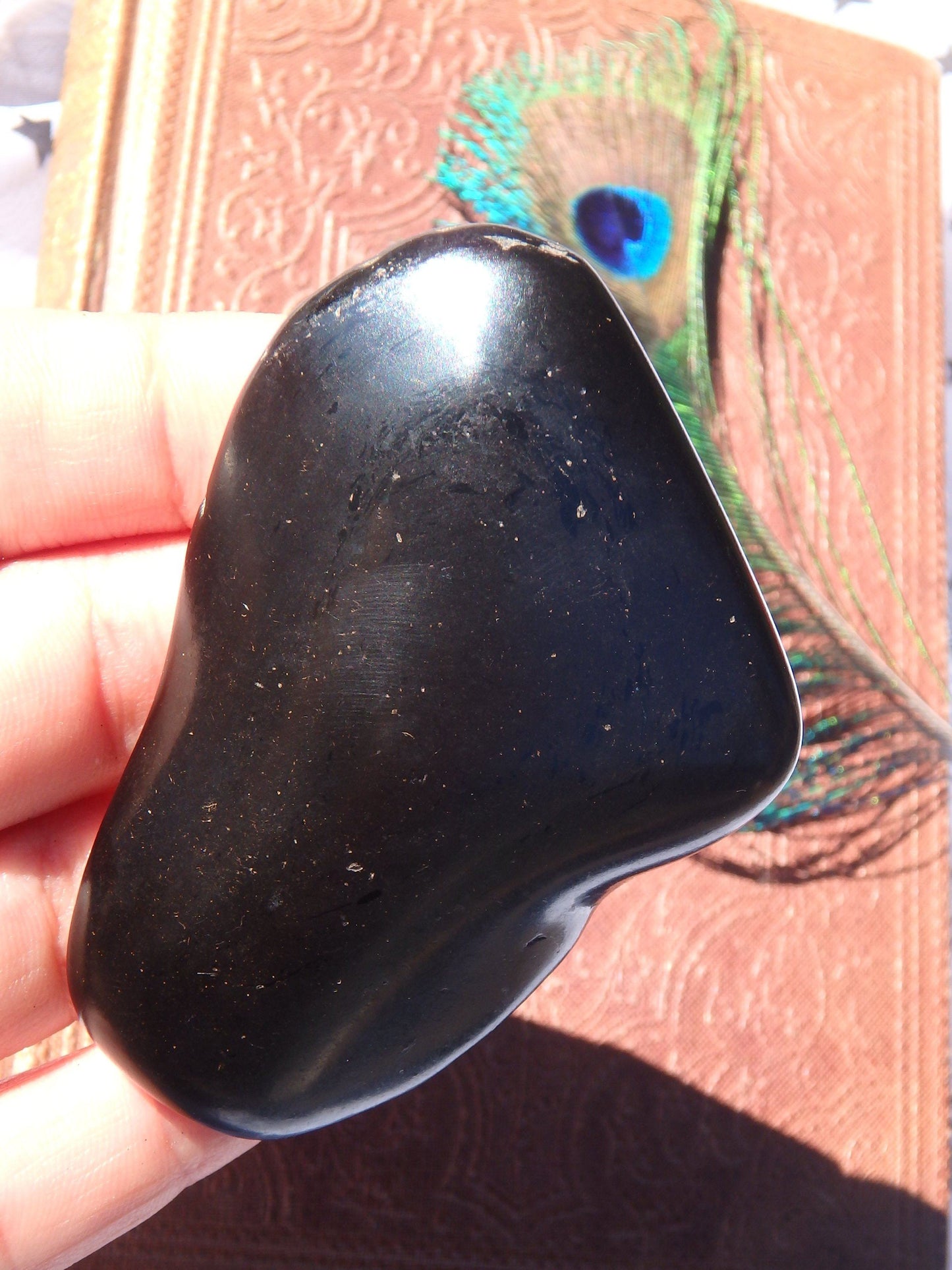  Black Jet Polished Free Form Hand Held Specimen