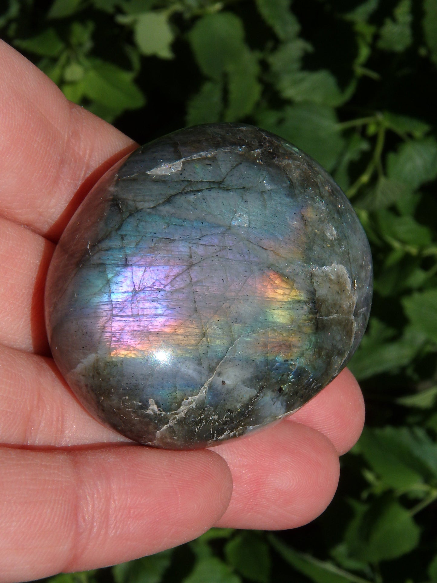  Deep Purple & Rainbow Flashes Labradorite Pocket Stone