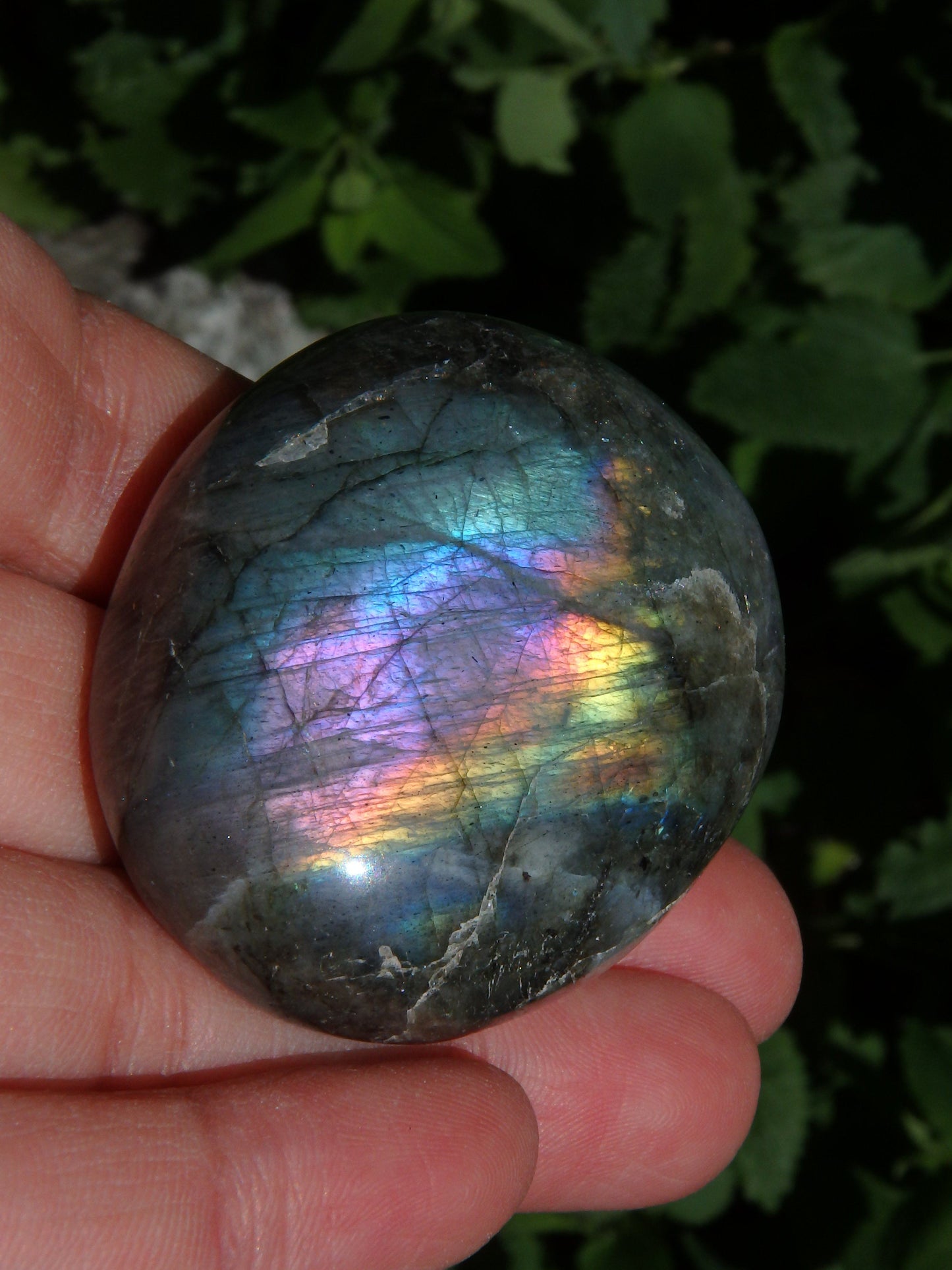  Deep Purple & Rainbow Flashes Labradorite Pocket Stone