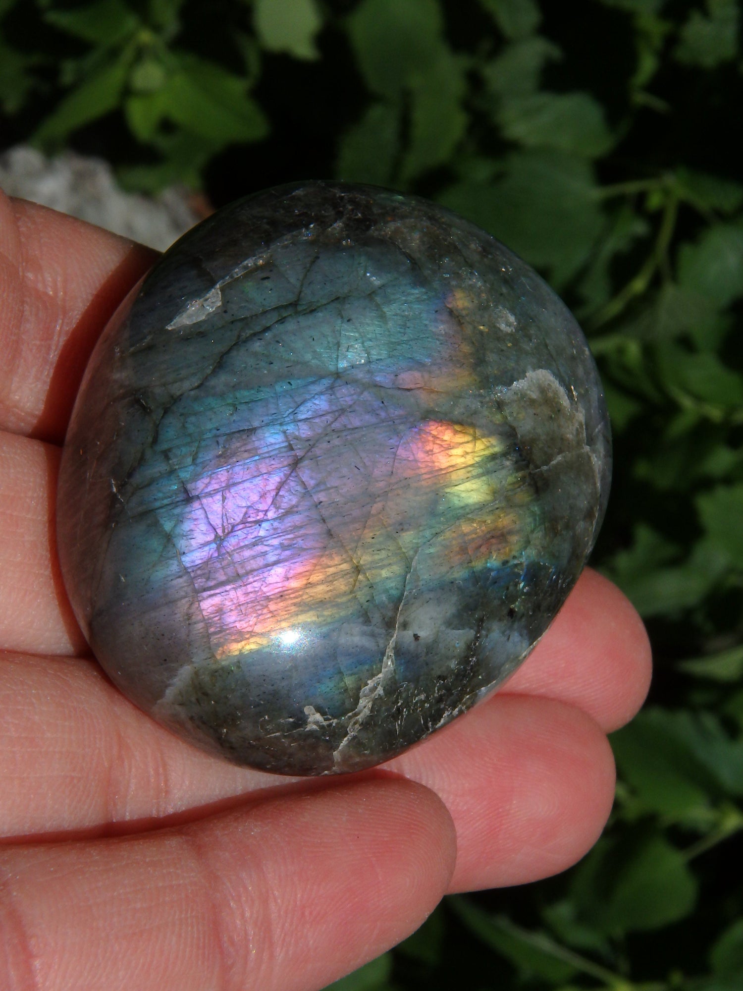  Deep Purple & Rainbow Flashes Labradorite Pocket Stone