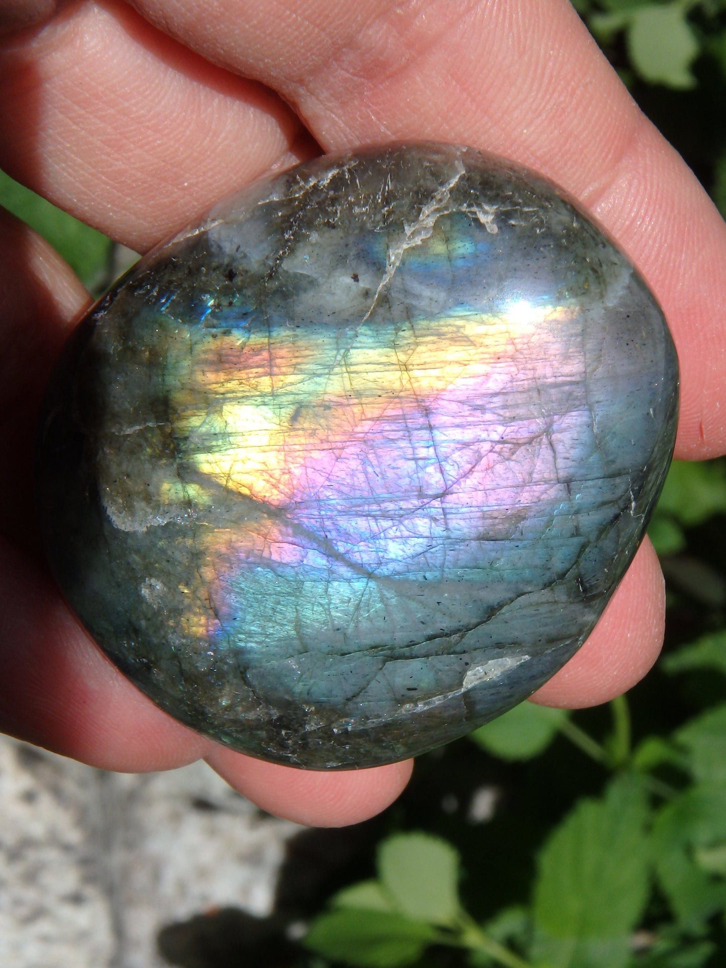  Deep Purple & Rainbow Flashes Labradorite Pocket Stone
