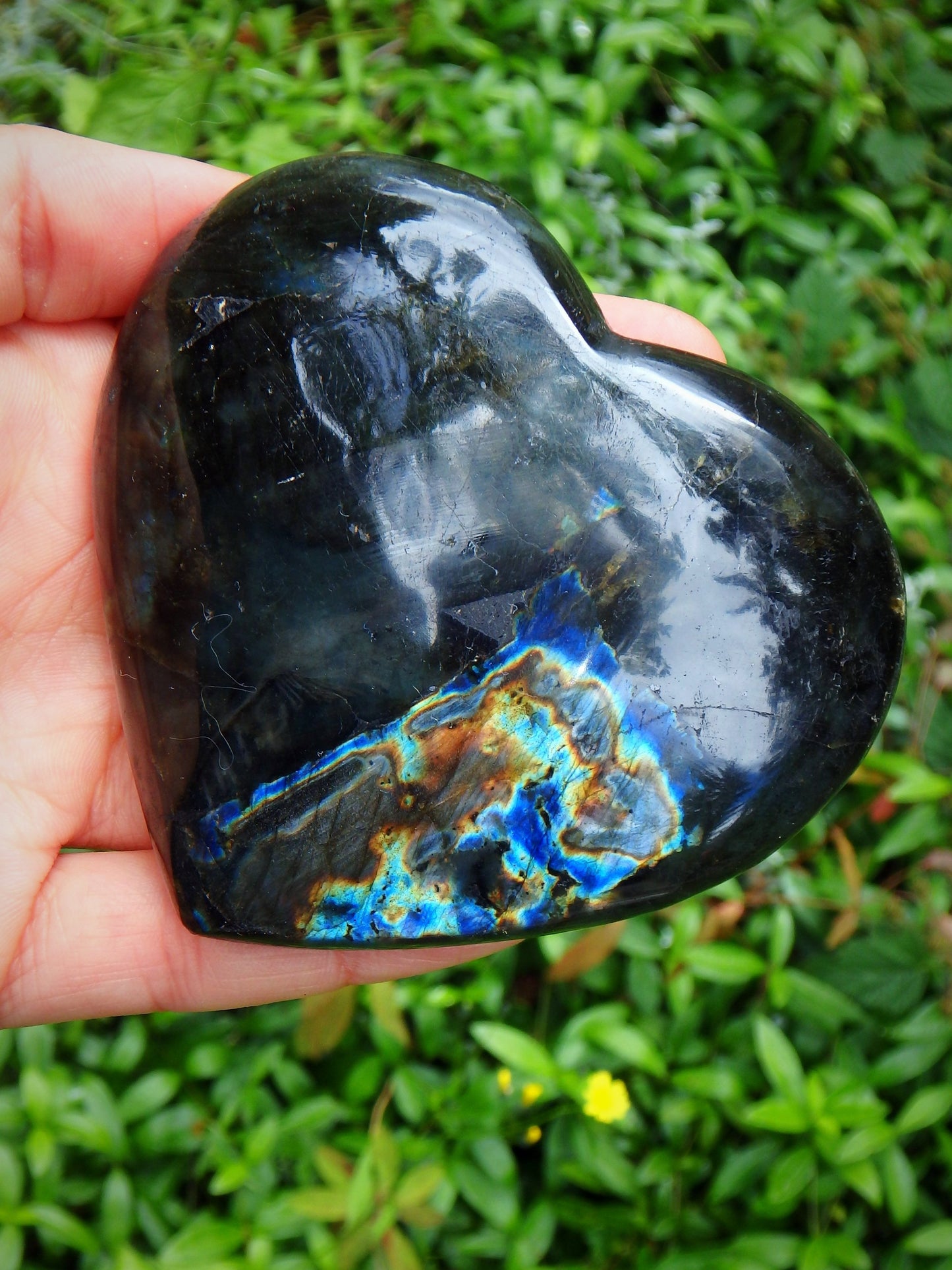 Mysterious Rainbow Patterns of Flash Labradorite Heart Carving - Earth Family Crystals