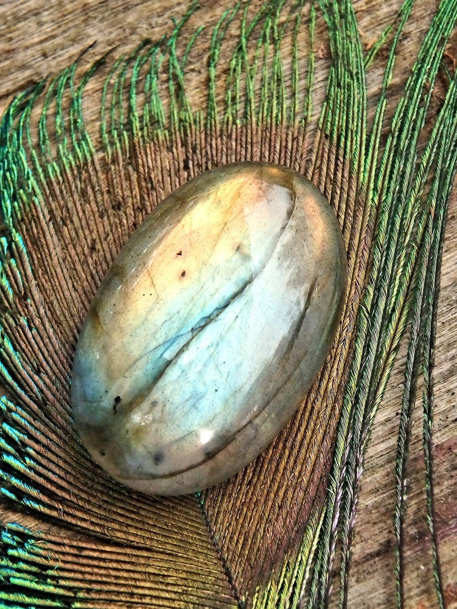 Optical Blue & Golden Flash Labradorite Cabochon - Metiz Tier Price