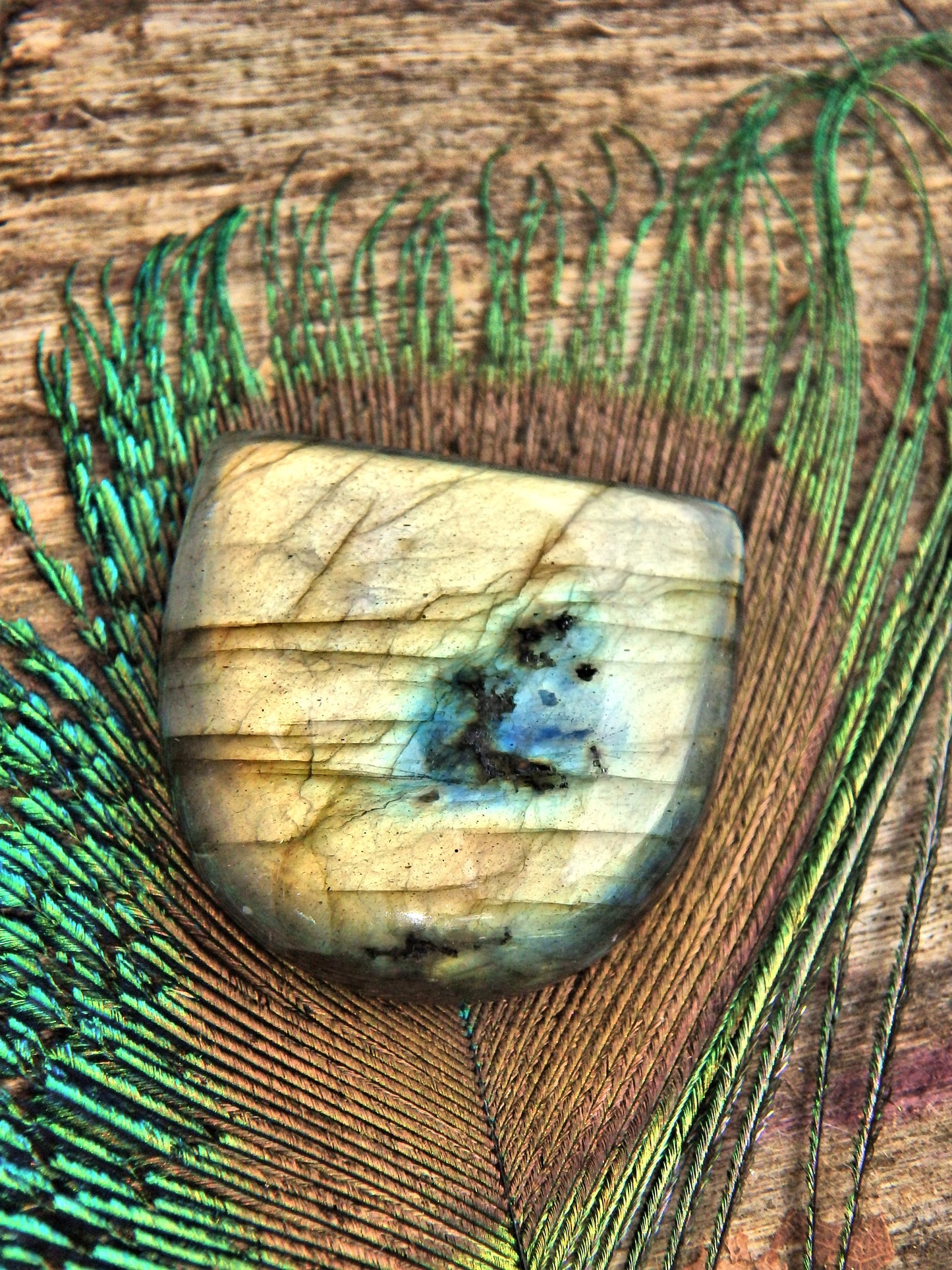 Mesmerizing Golden Flashes Labradorite Cabochon - Earth Family Crystals